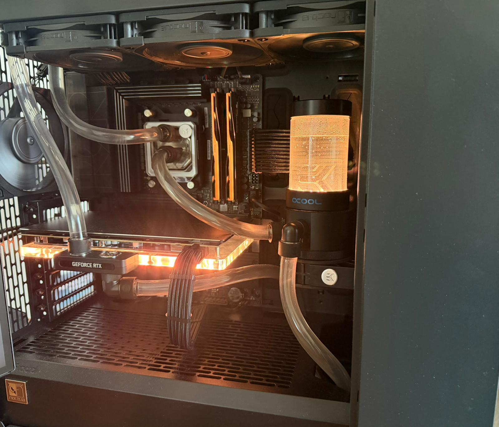 WhatsApp Image 2026-03-02 at 10.05.46.jpeg