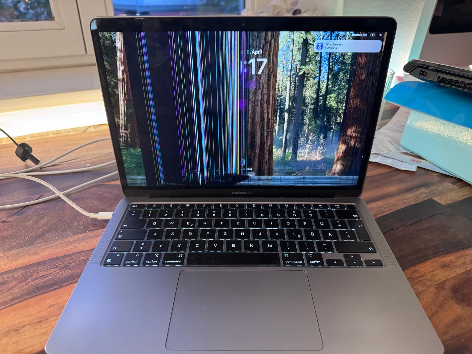 WhatsApp Image 2026-04-09 at 17.07.37663.jpeg