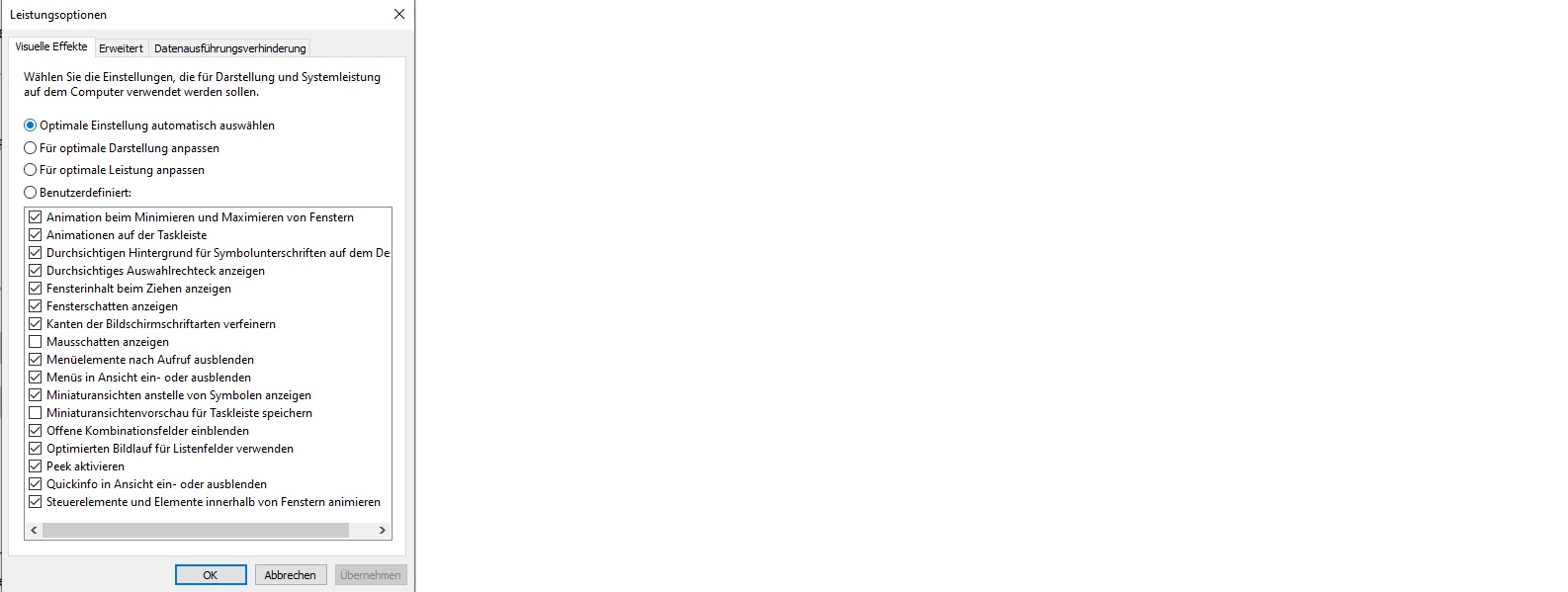 Windows Leistungsoptionen.jpg