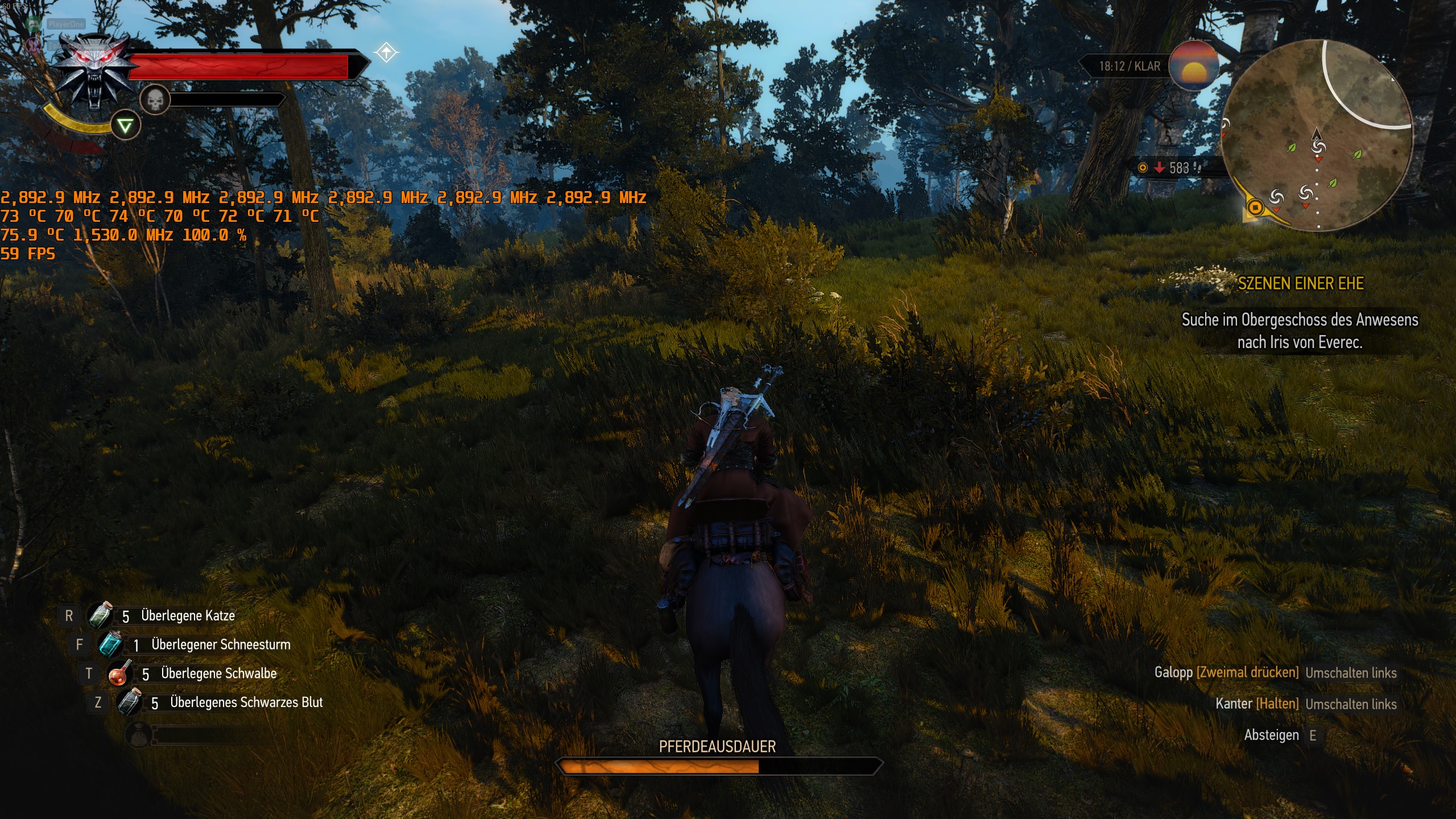 witcher 3.jpg