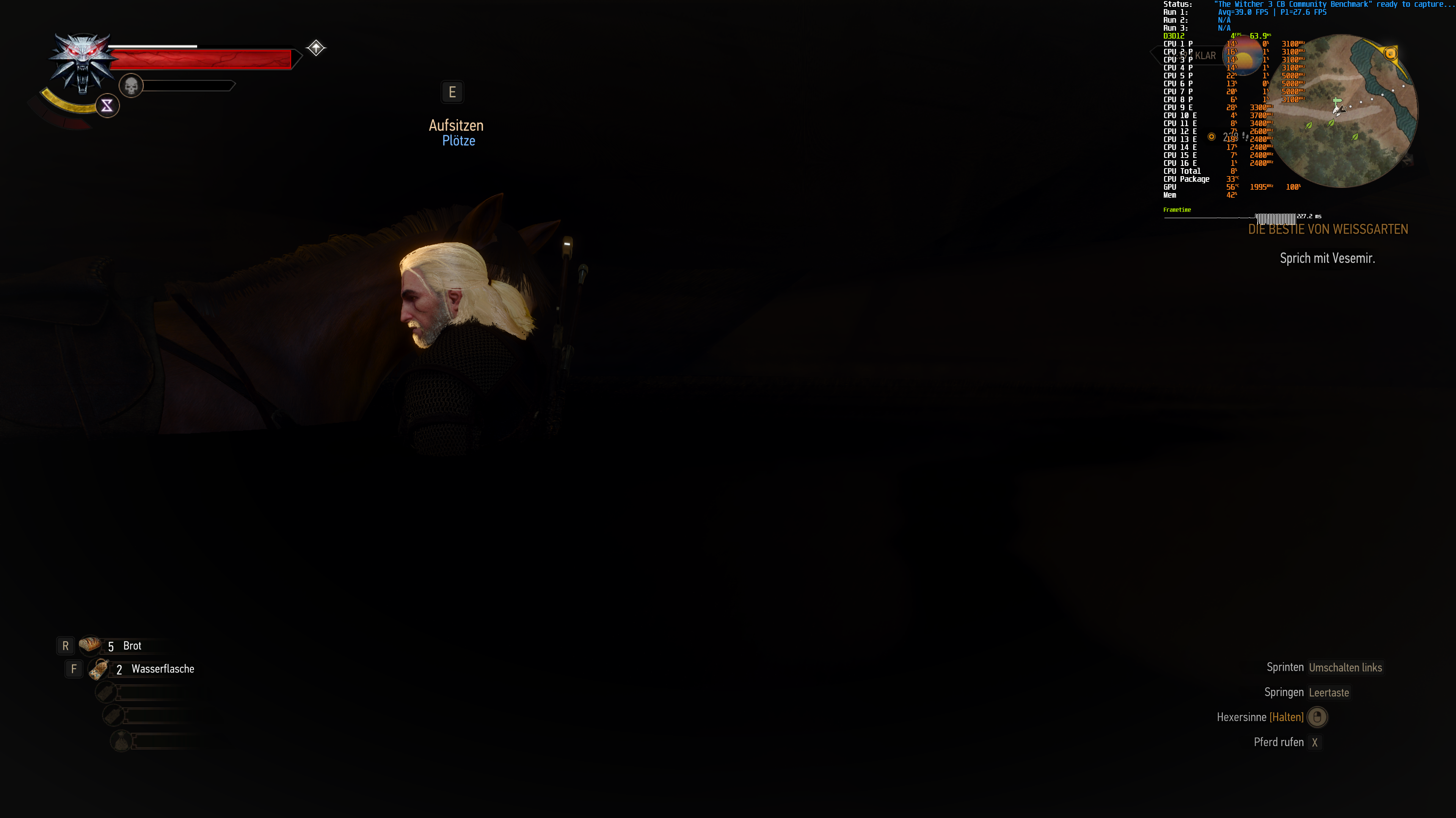 Witcher Grafikfehler.png