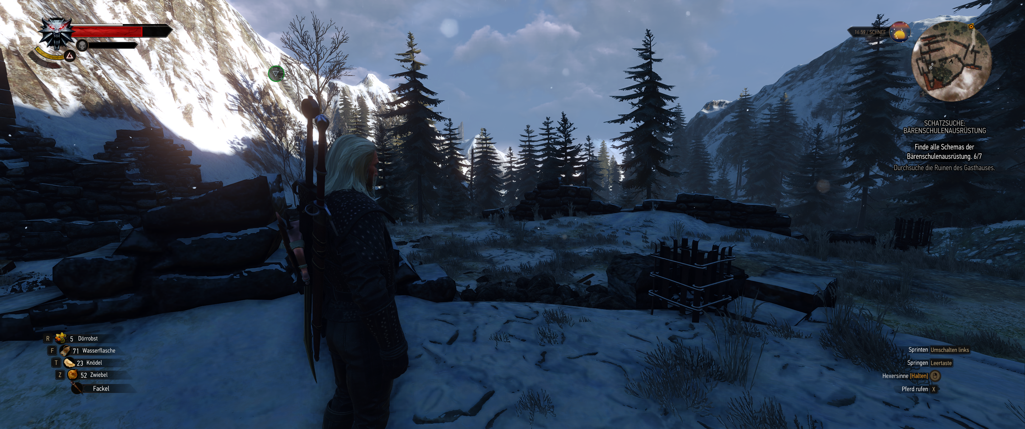 Witcher III (373).png