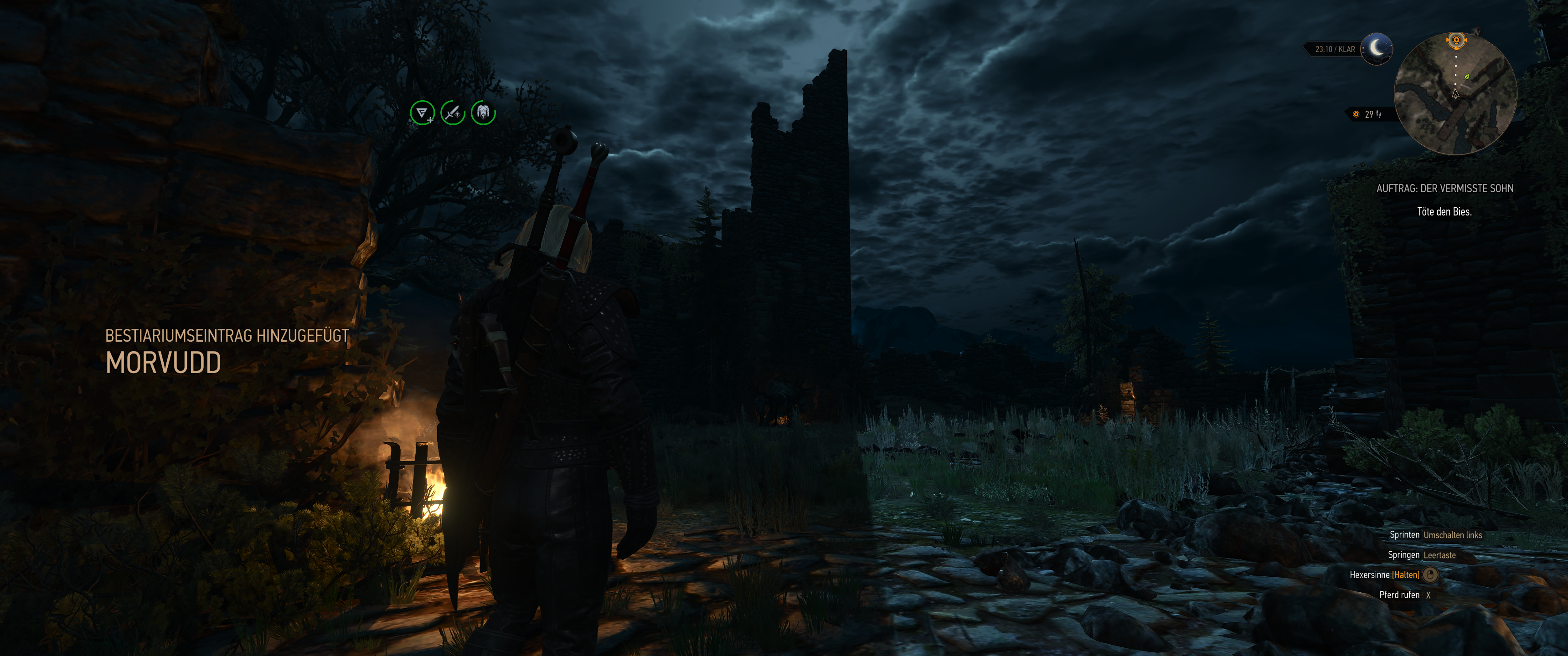 Witcher III (377).png