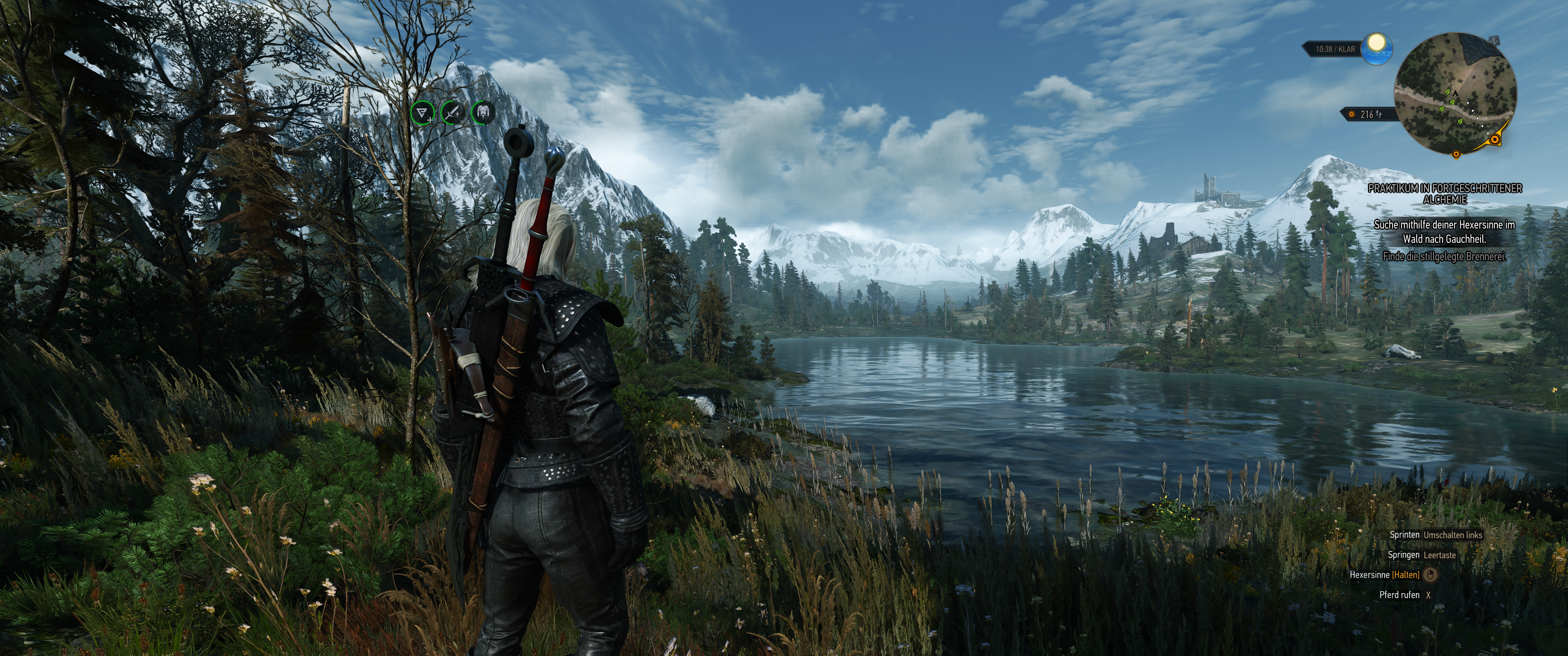 Witcher III (379).png