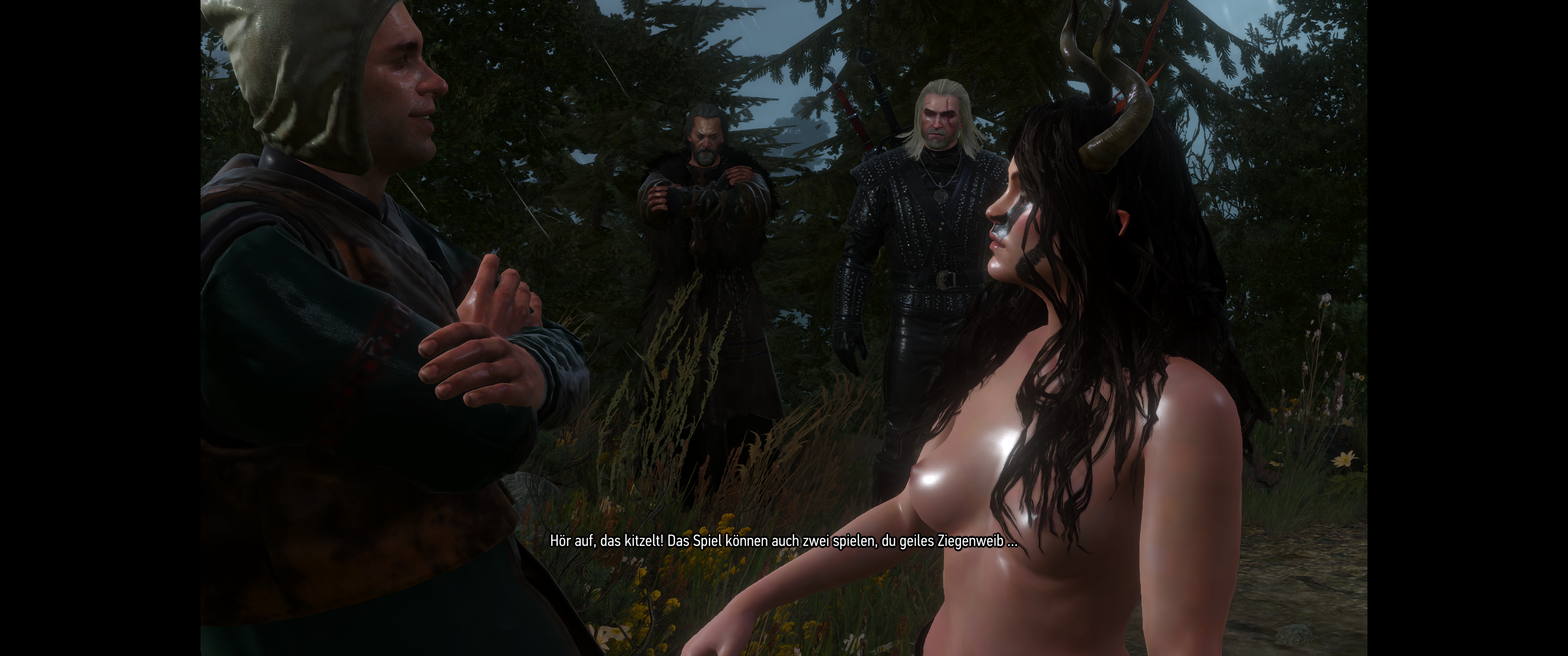 Witcher III (381).png