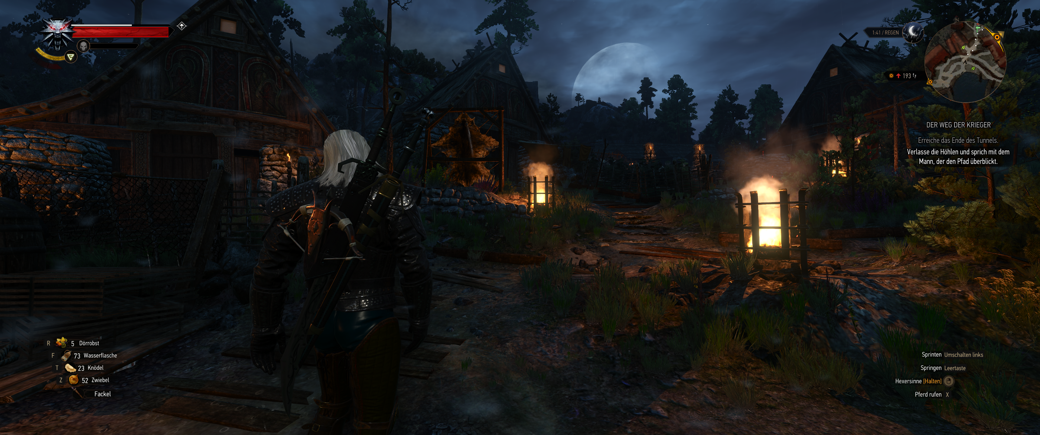 Witcher III (395).png