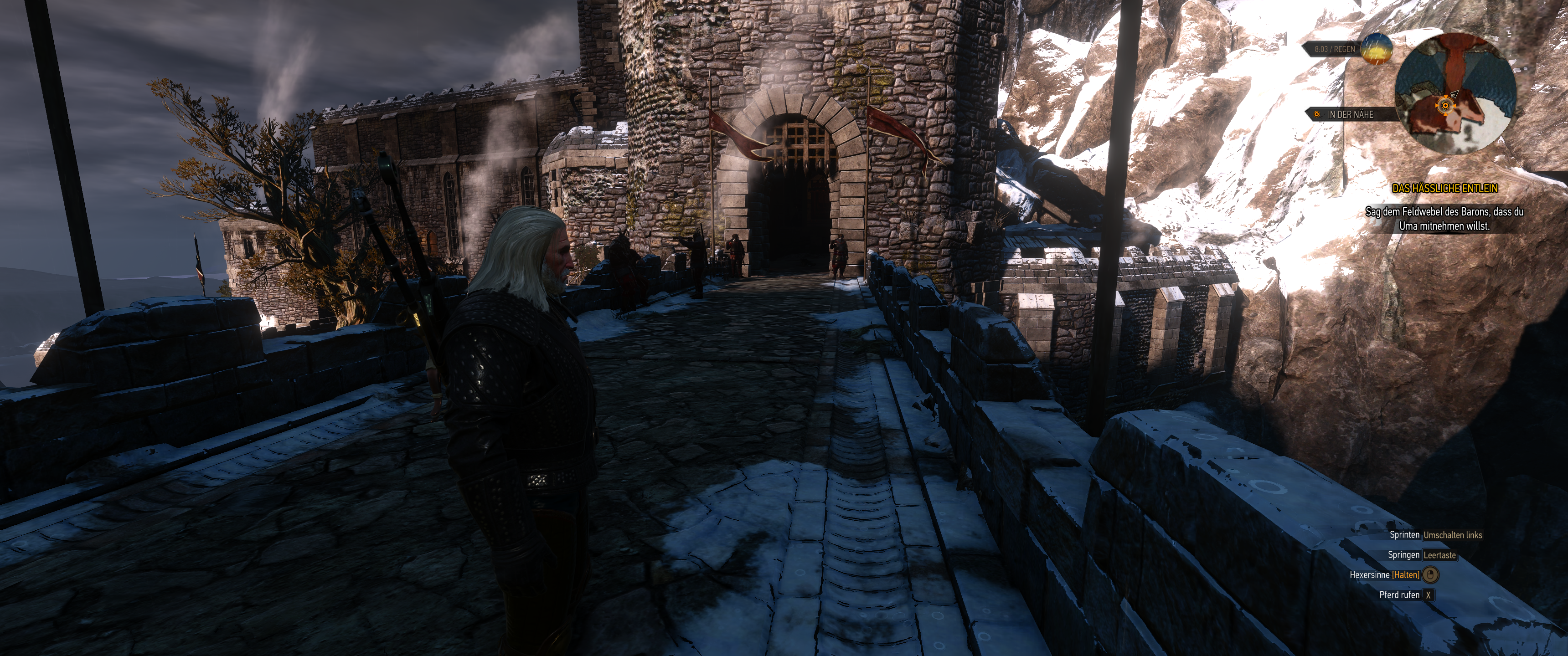 Witcher III (396).png