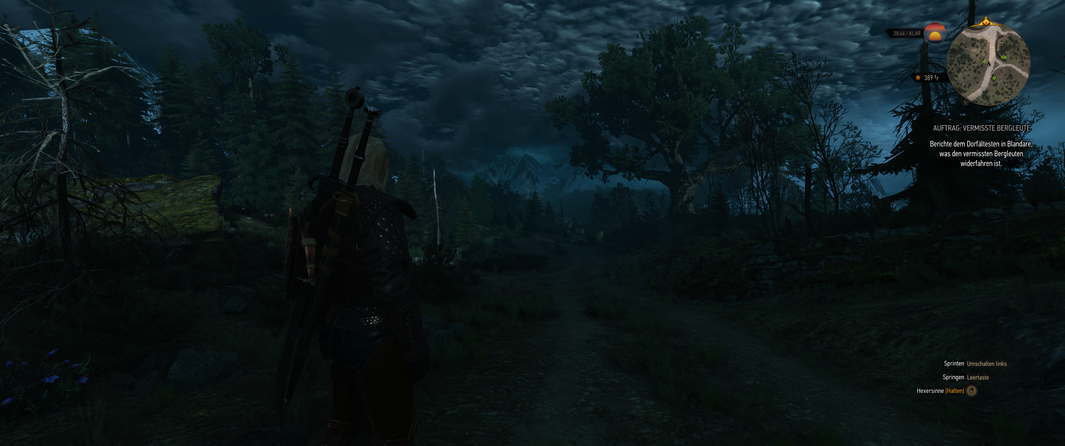 Witcher III (400).png