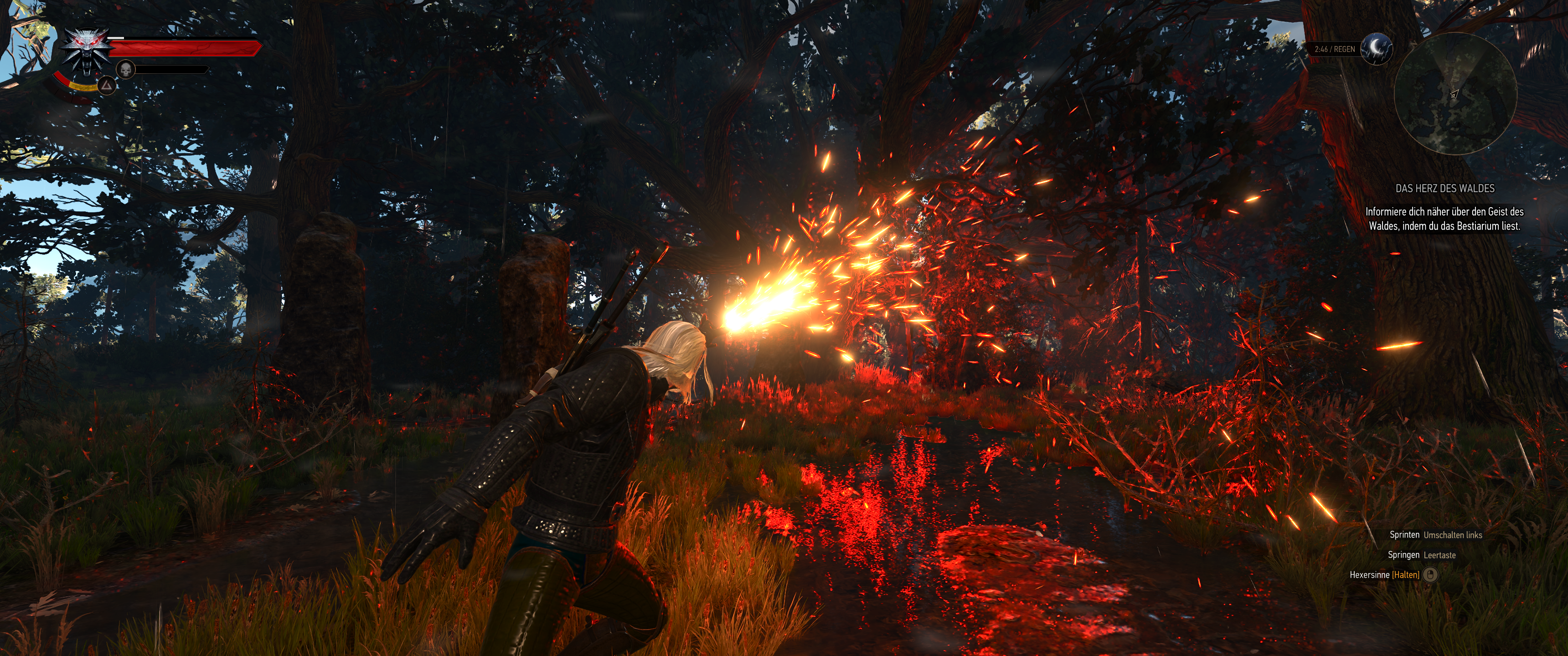 Witcher III (402).png