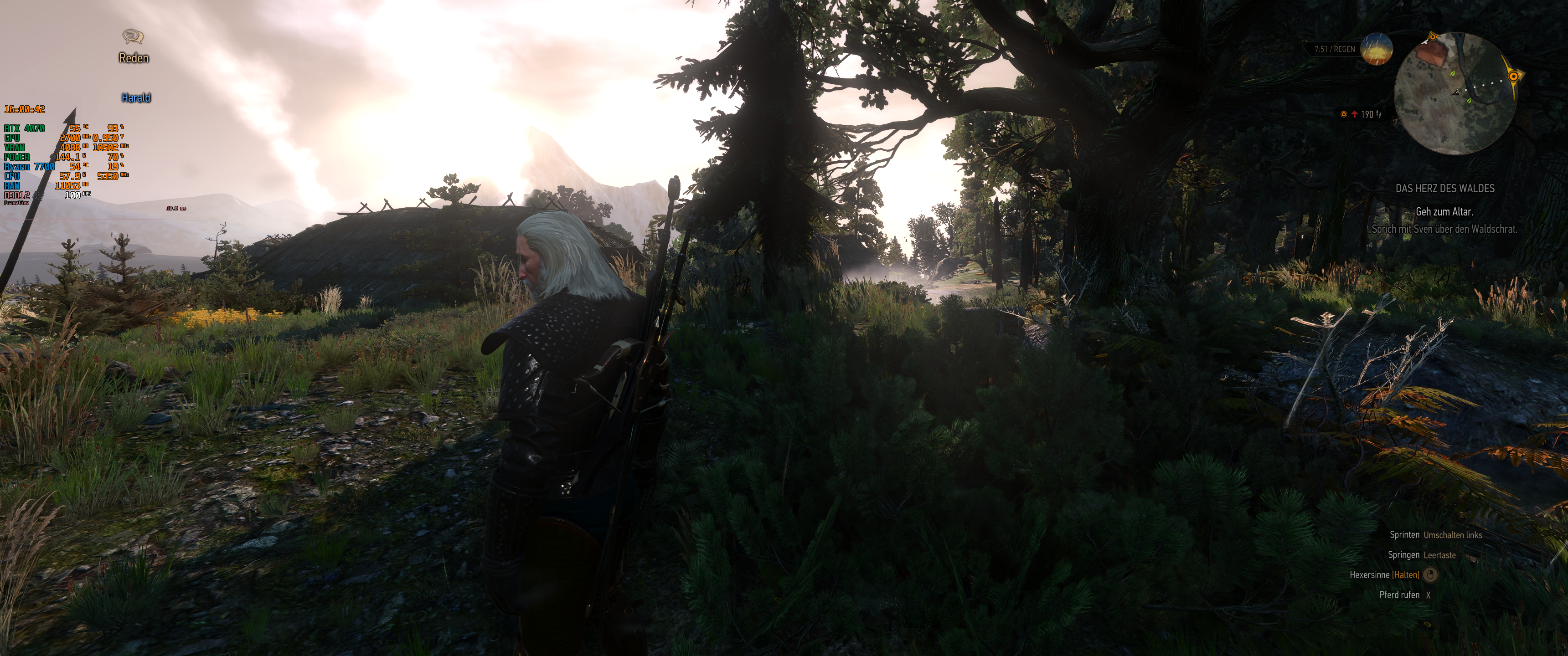 Witcher III (403).png