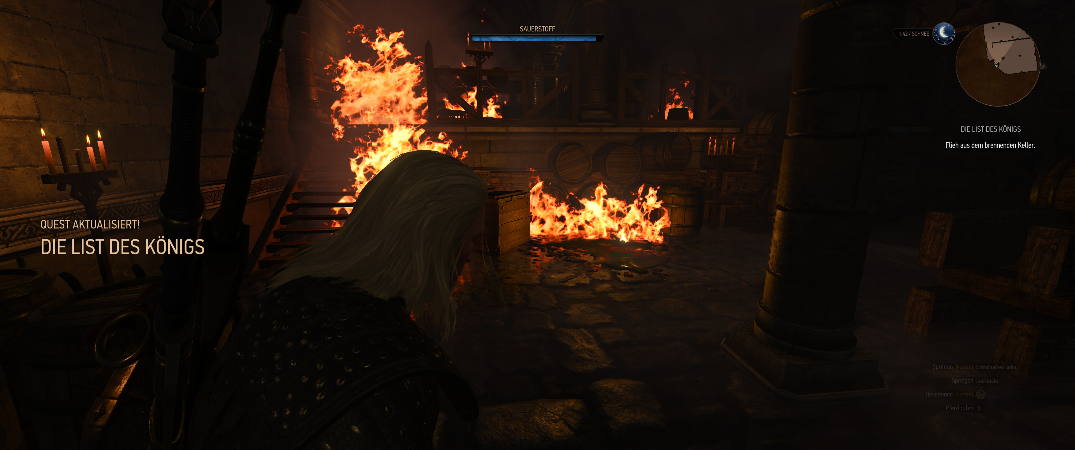 Witcher III (414).png