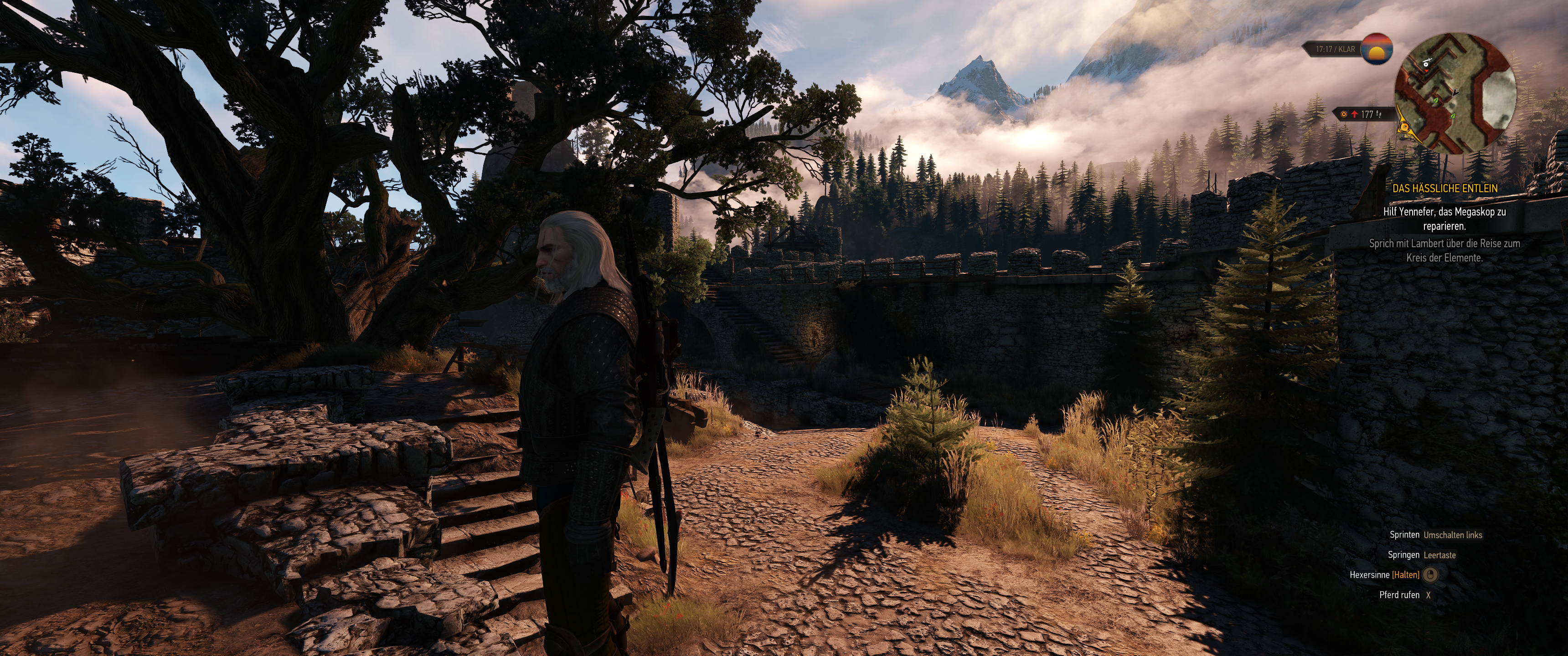 Witcher III (422).png