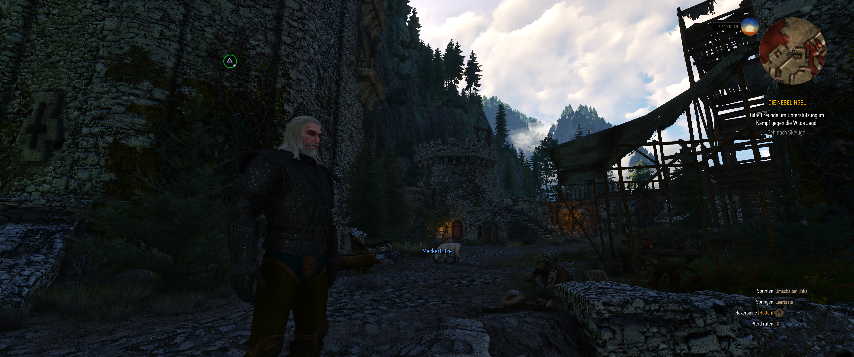 Witcher III (427).png