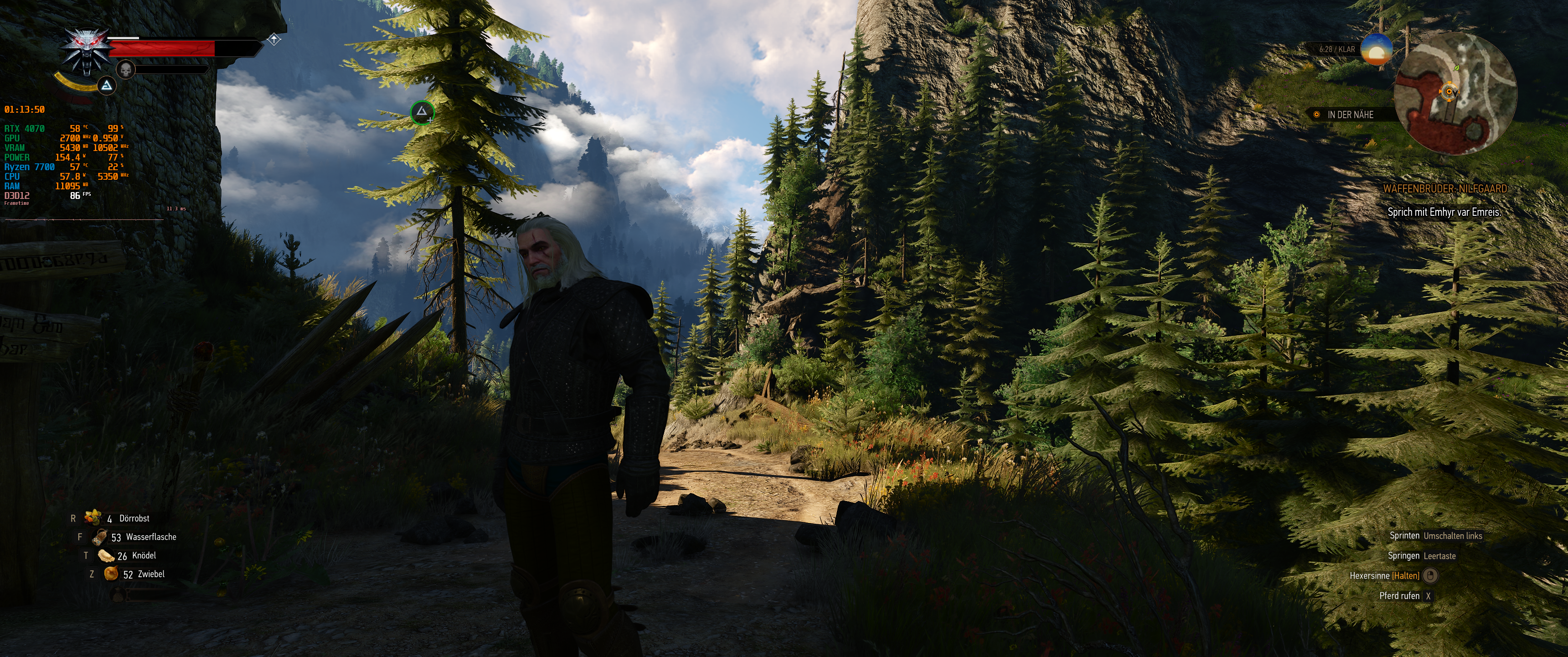 Witcher III (428).png