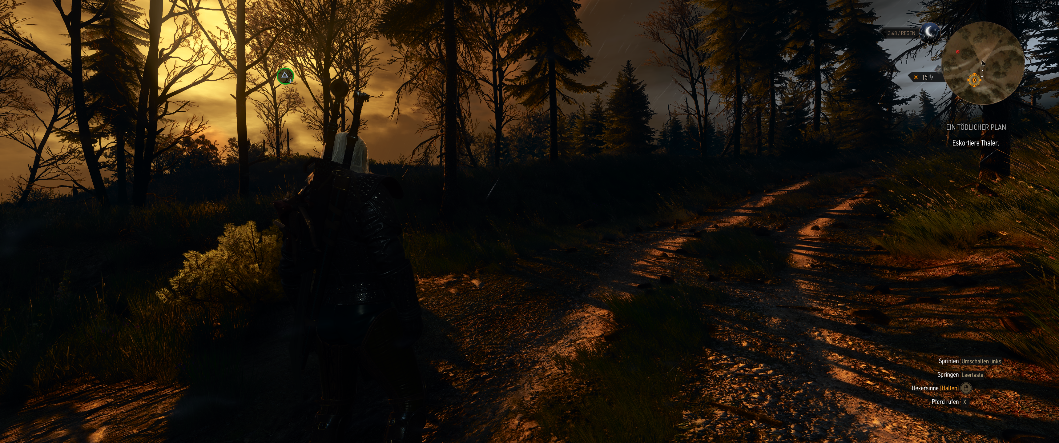 Witcher III (430).png