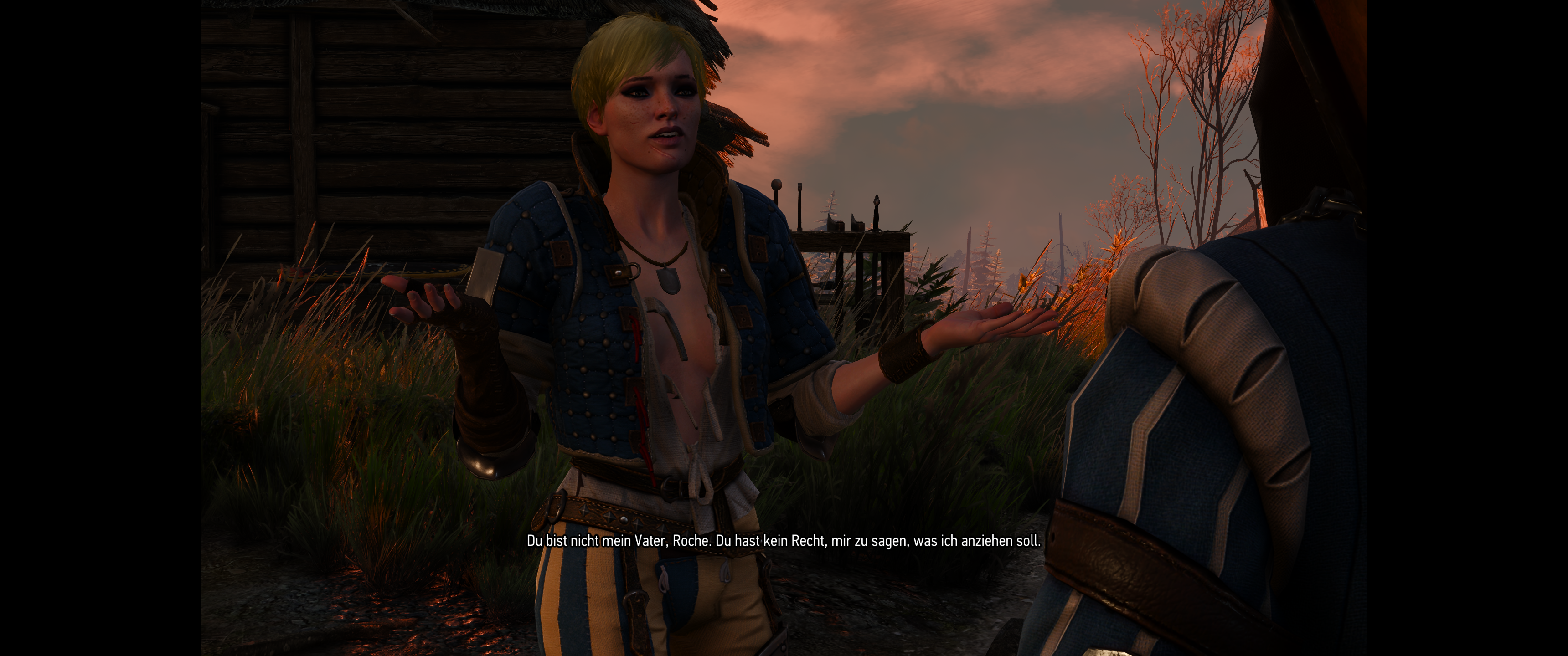 Witcher III (431).png