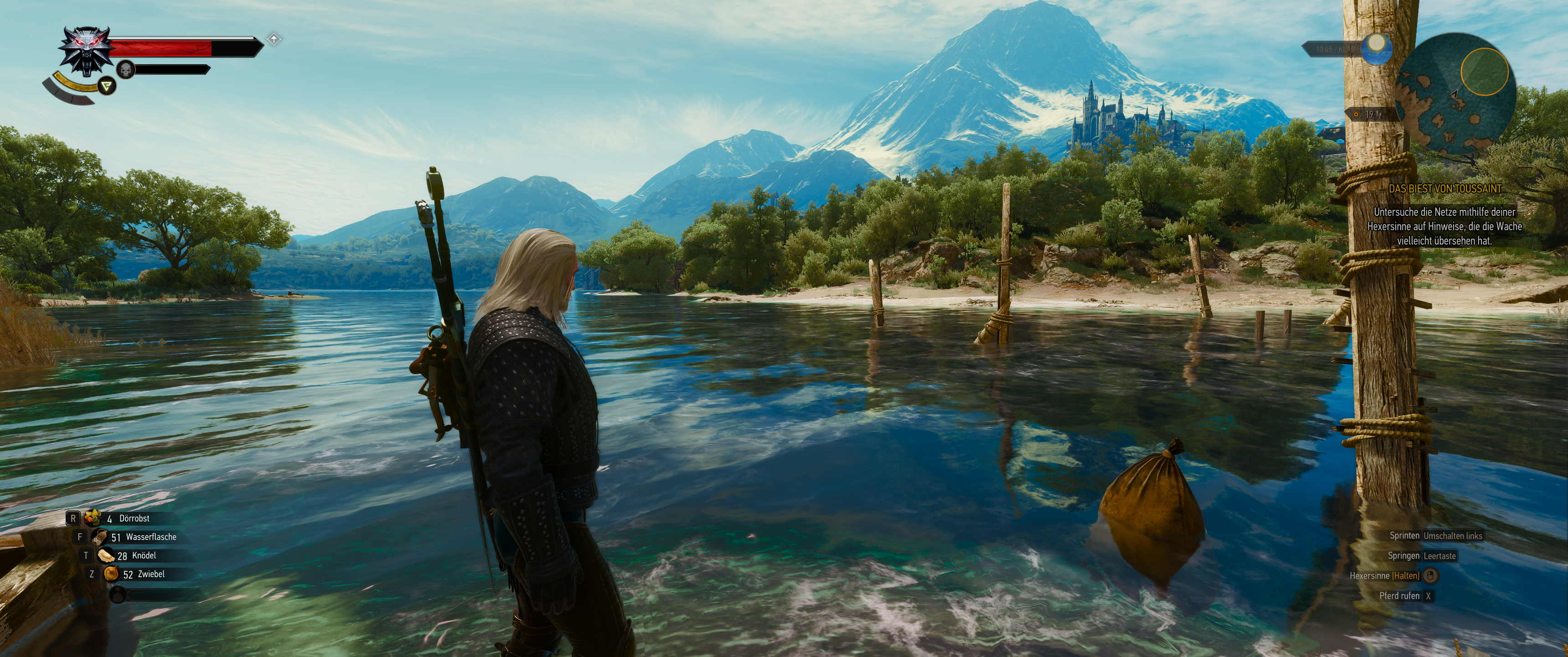 Witcher III (434).png