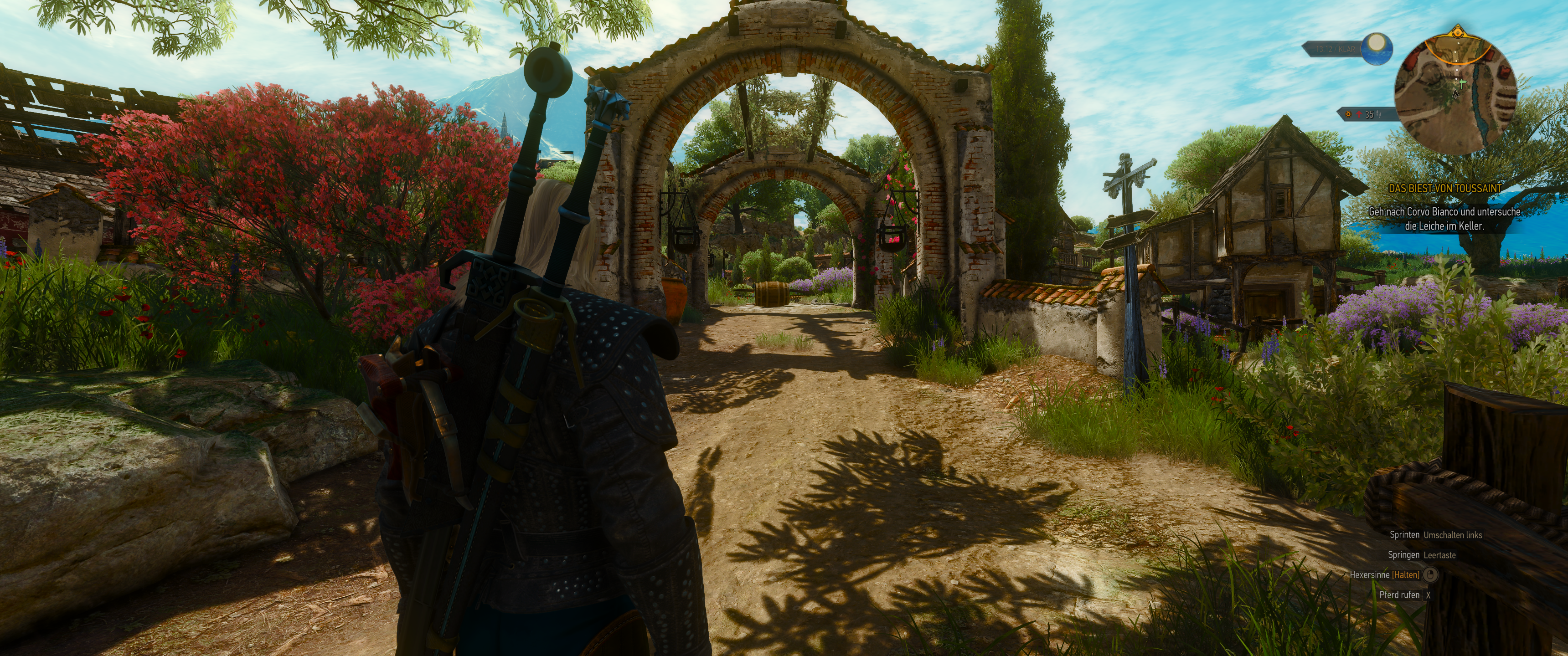 Witcher III (436).png