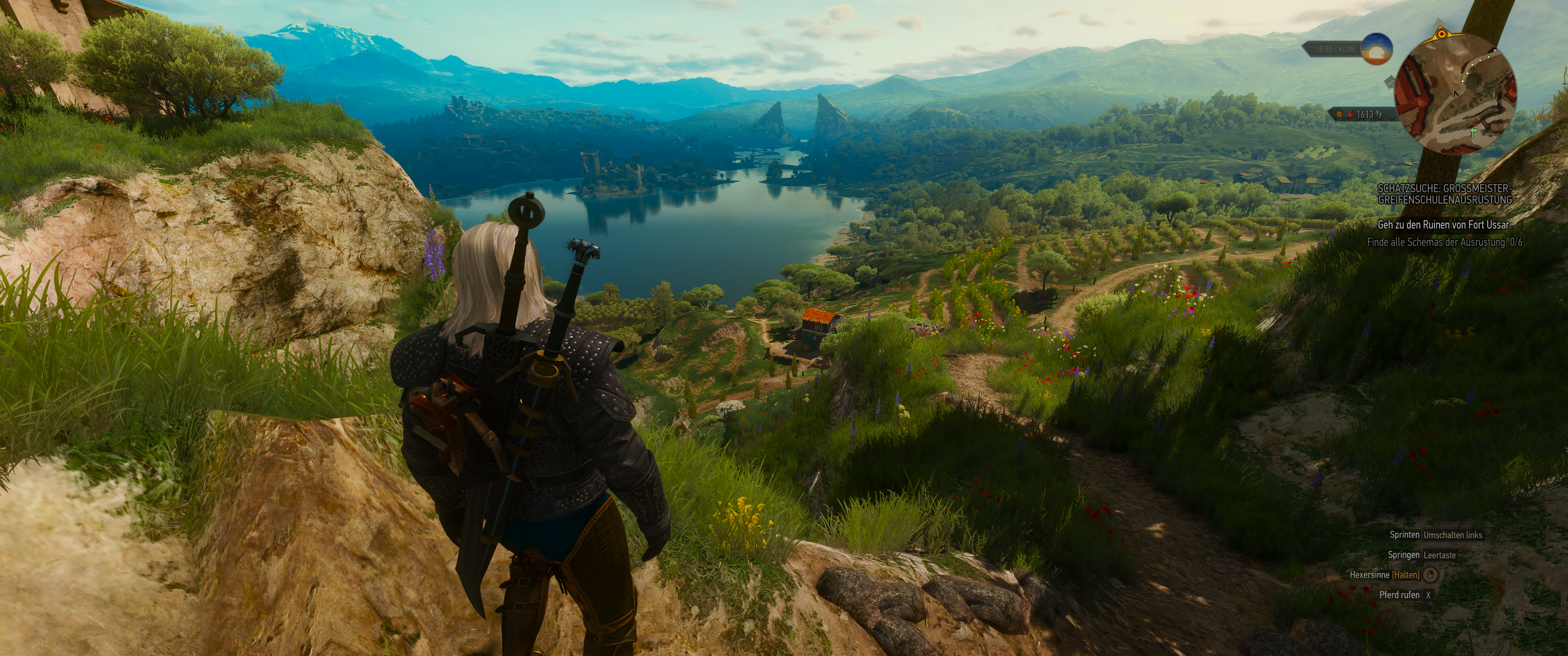 Witcher III (446).png