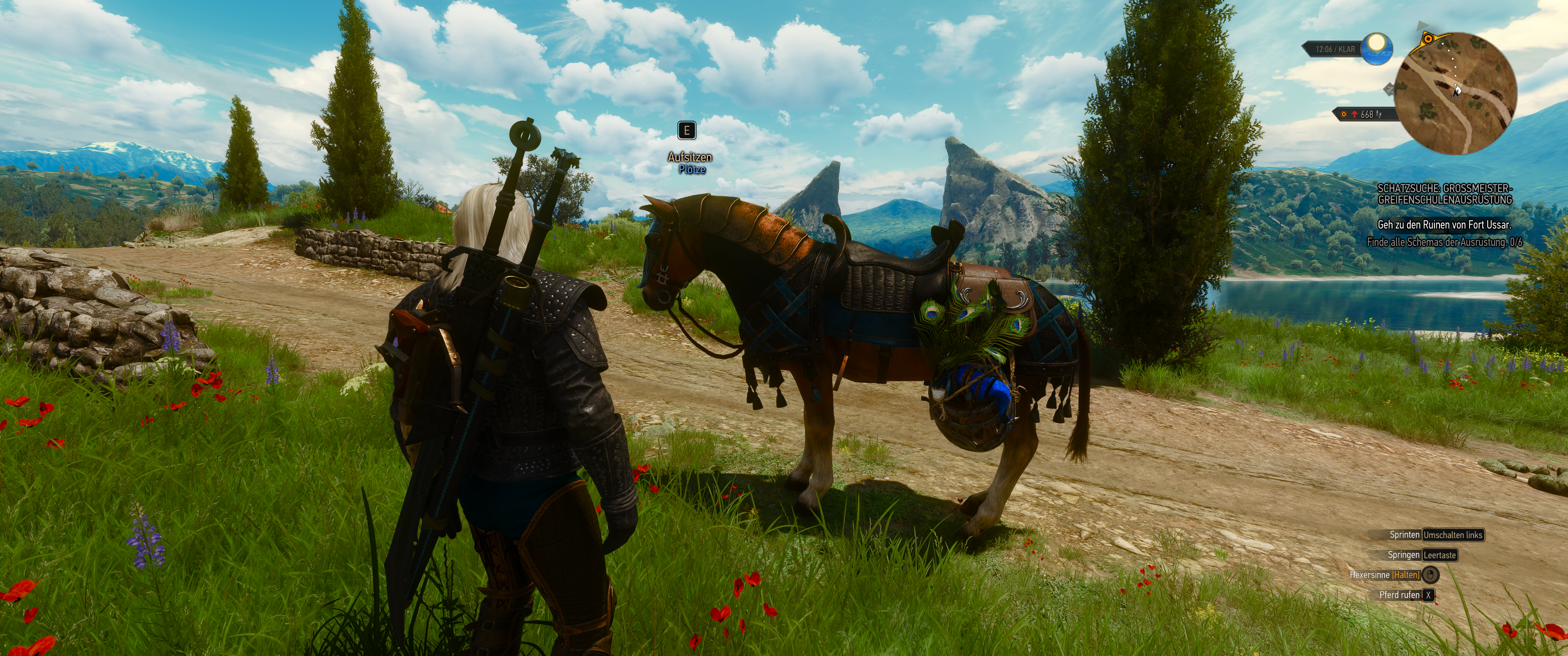 Witcher III (449).png