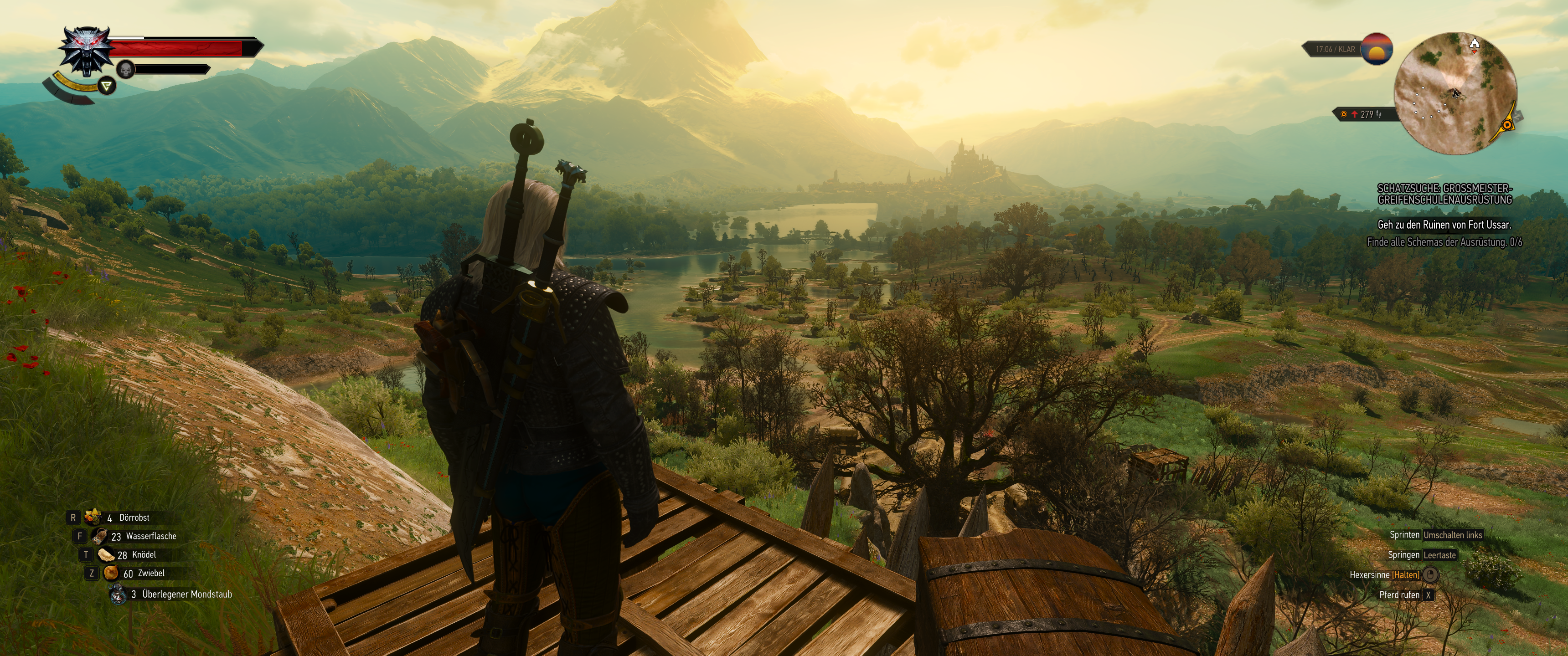 Witcher III (451).png