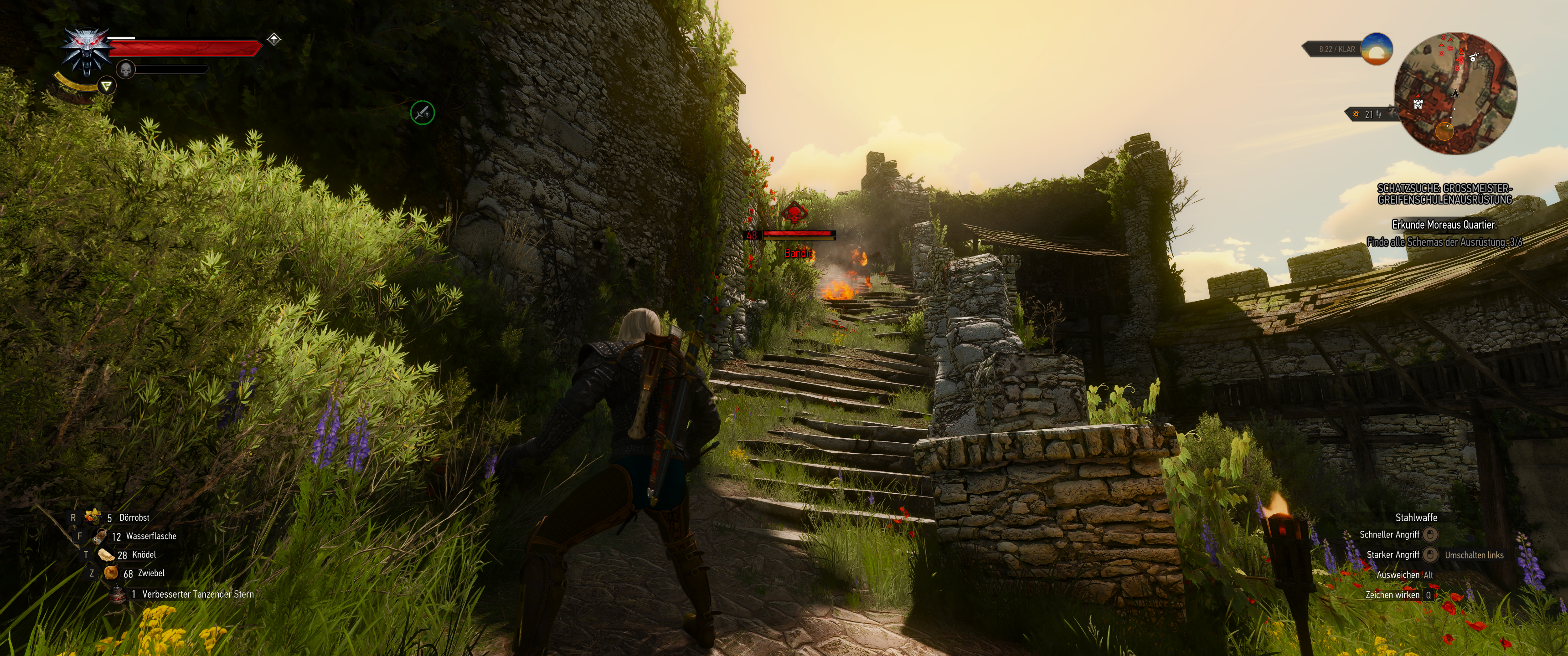 Witcher III (456).png