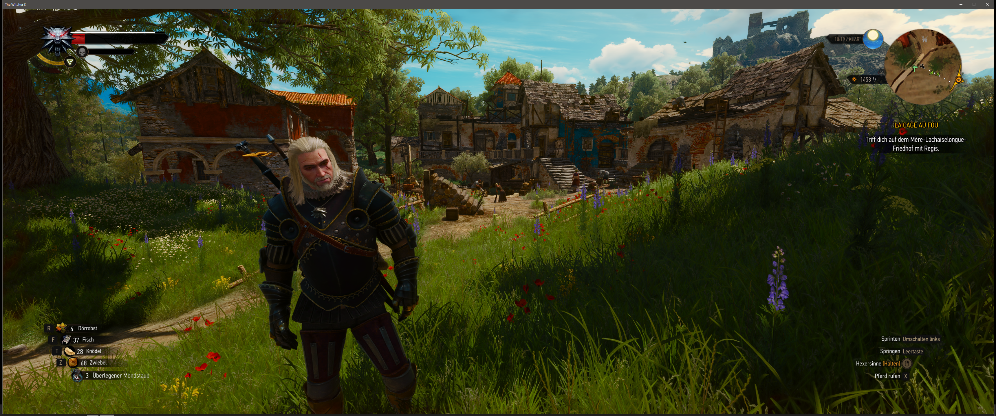 Witcher III (463).png
