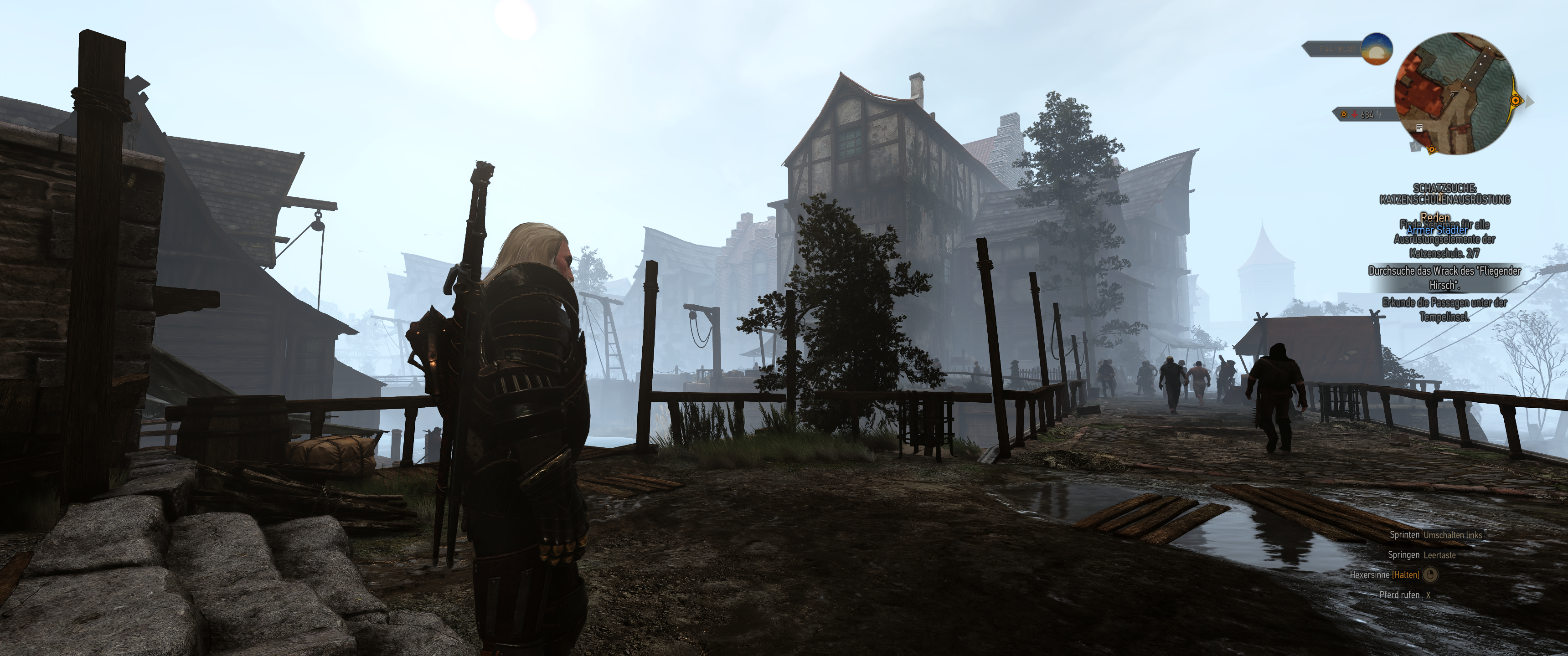 Witcher III (468).png