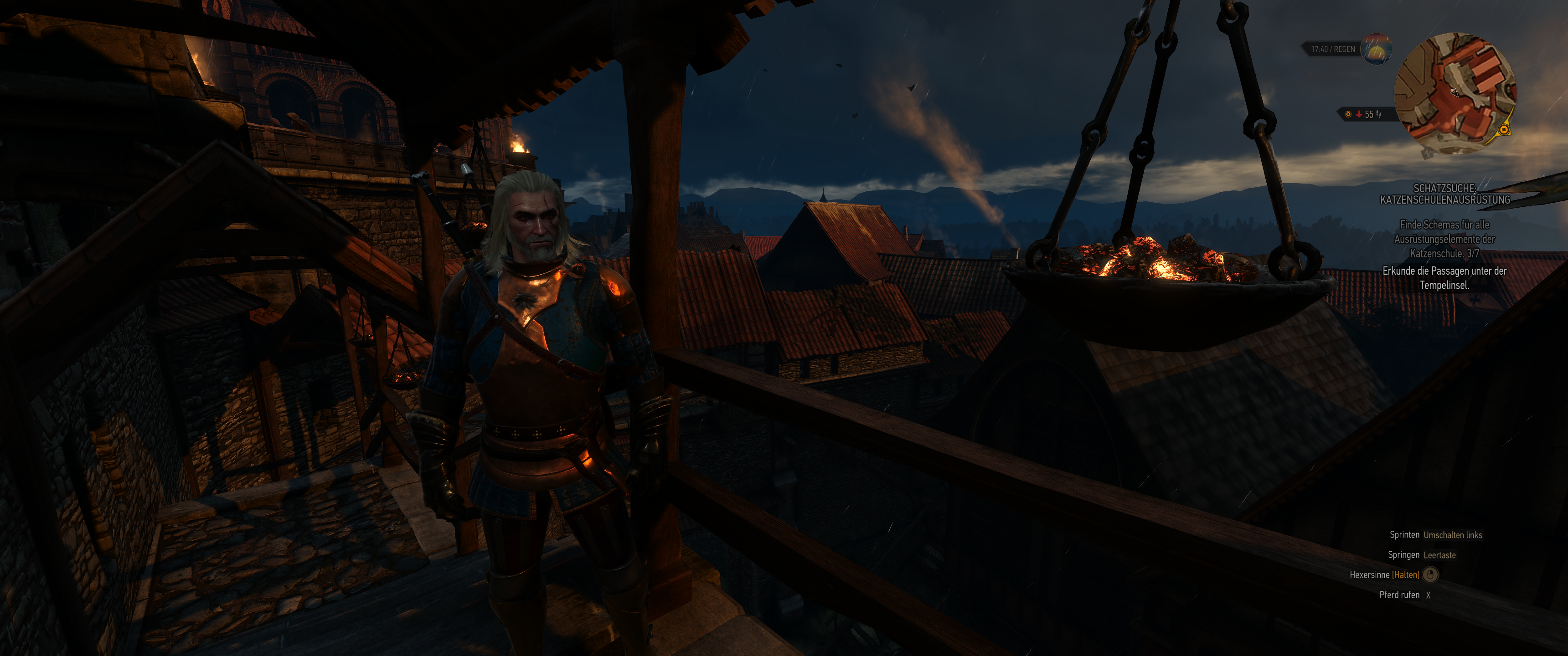 Witcher III (470).png