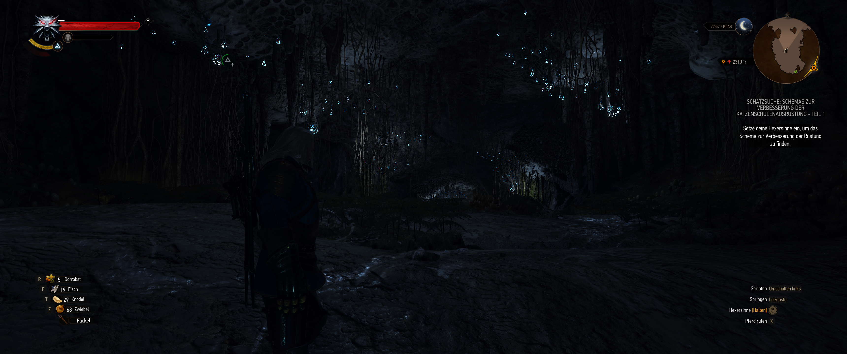 Witcher III (473).png