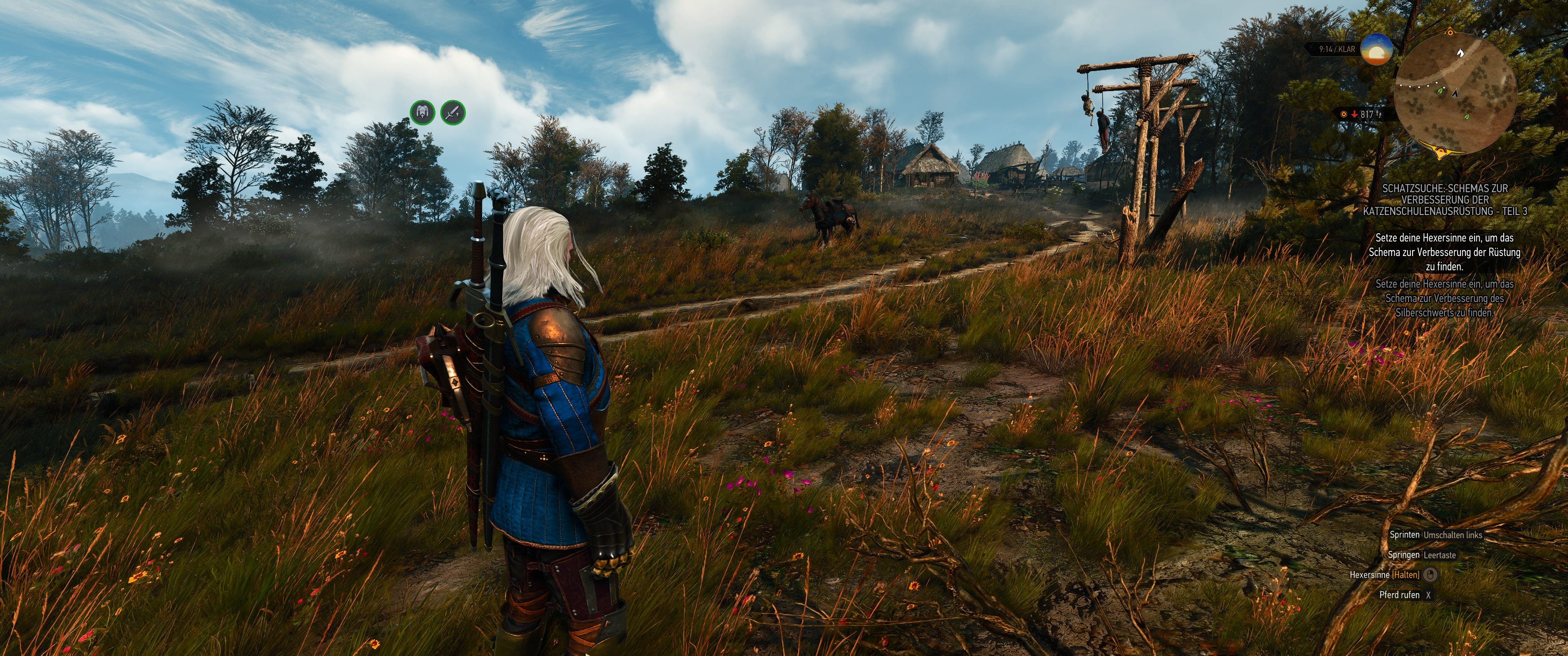 Witcher III (478).png