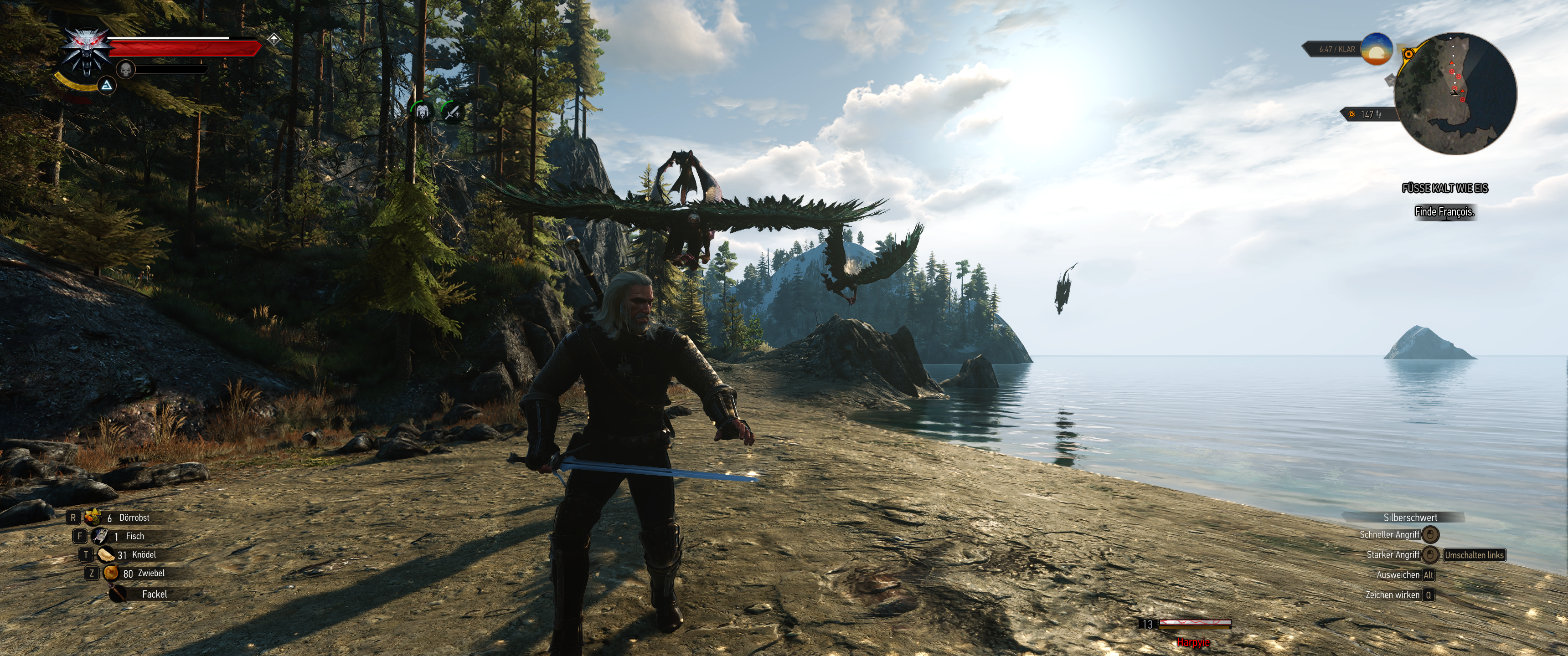 Witcher III (488).png