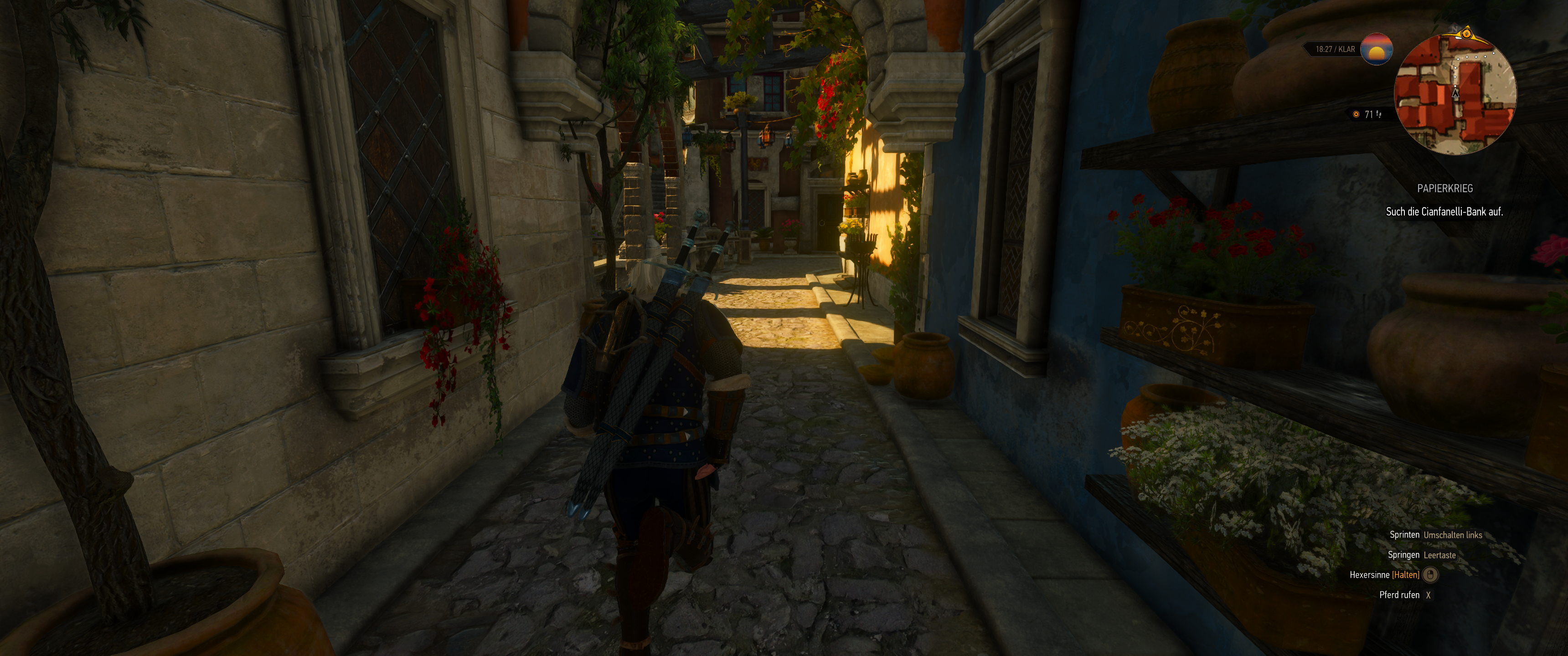 Witcher III (494).png