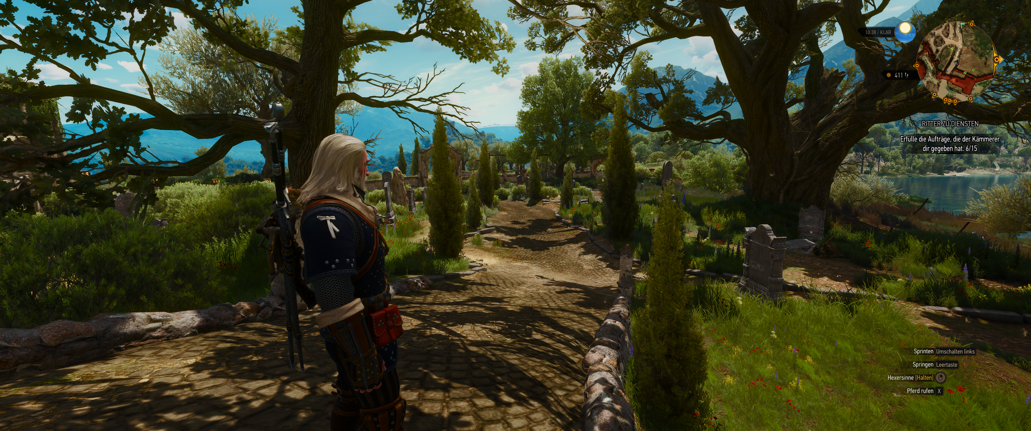 Witcher III (500).png