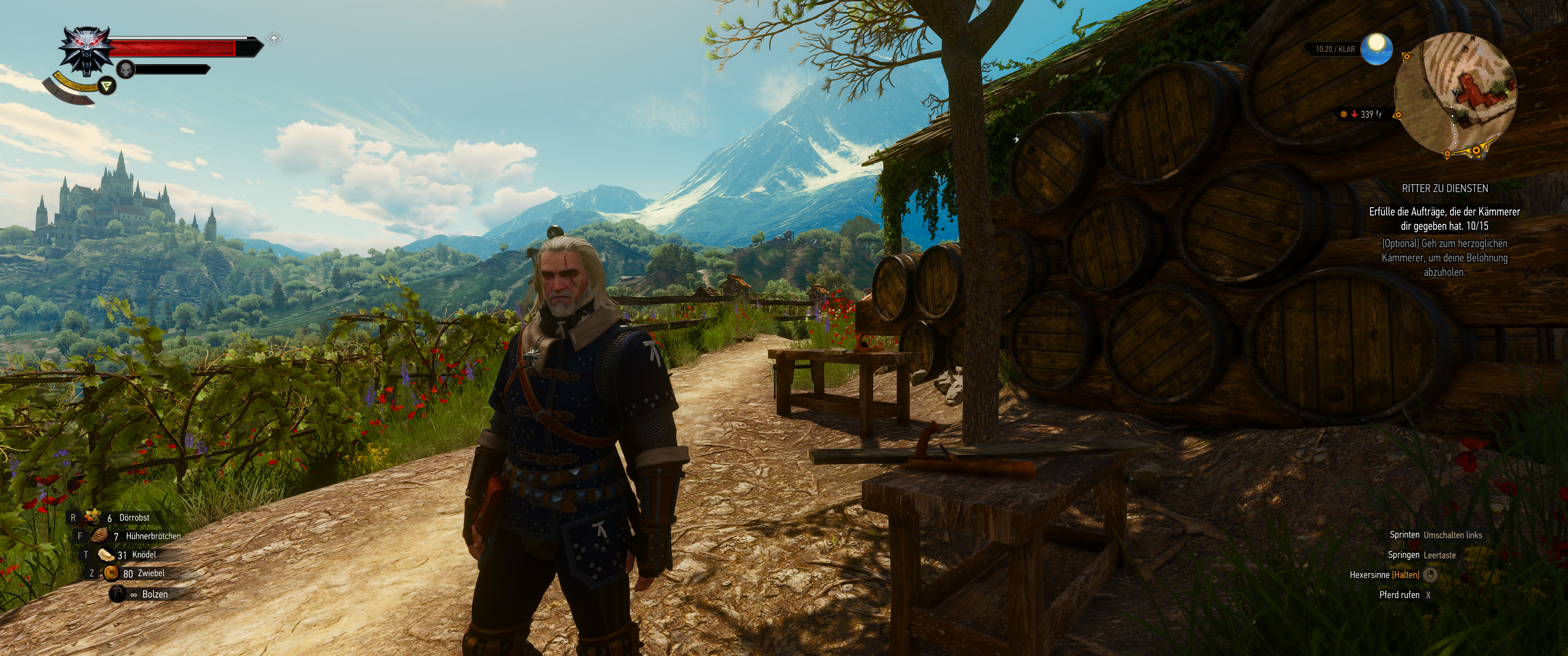 Witcher III (506).png