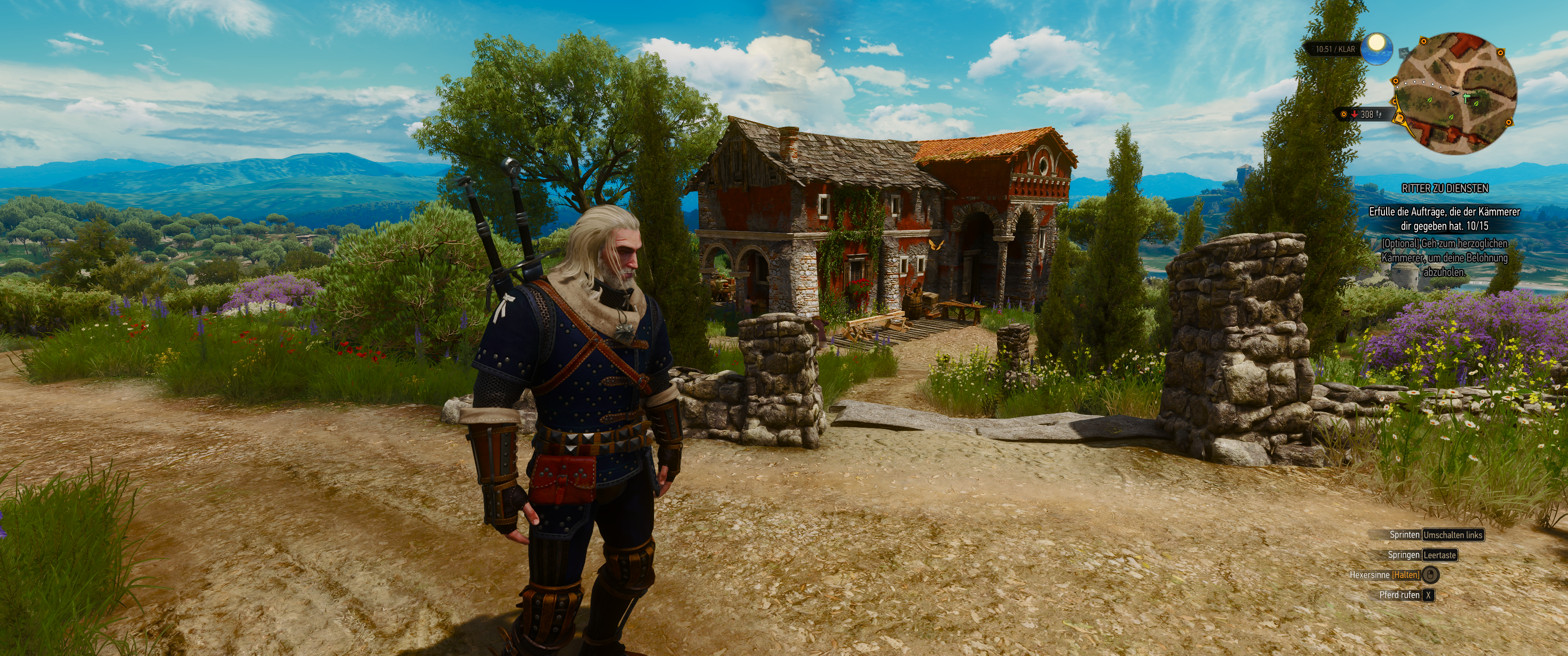 Witcher III (508).png