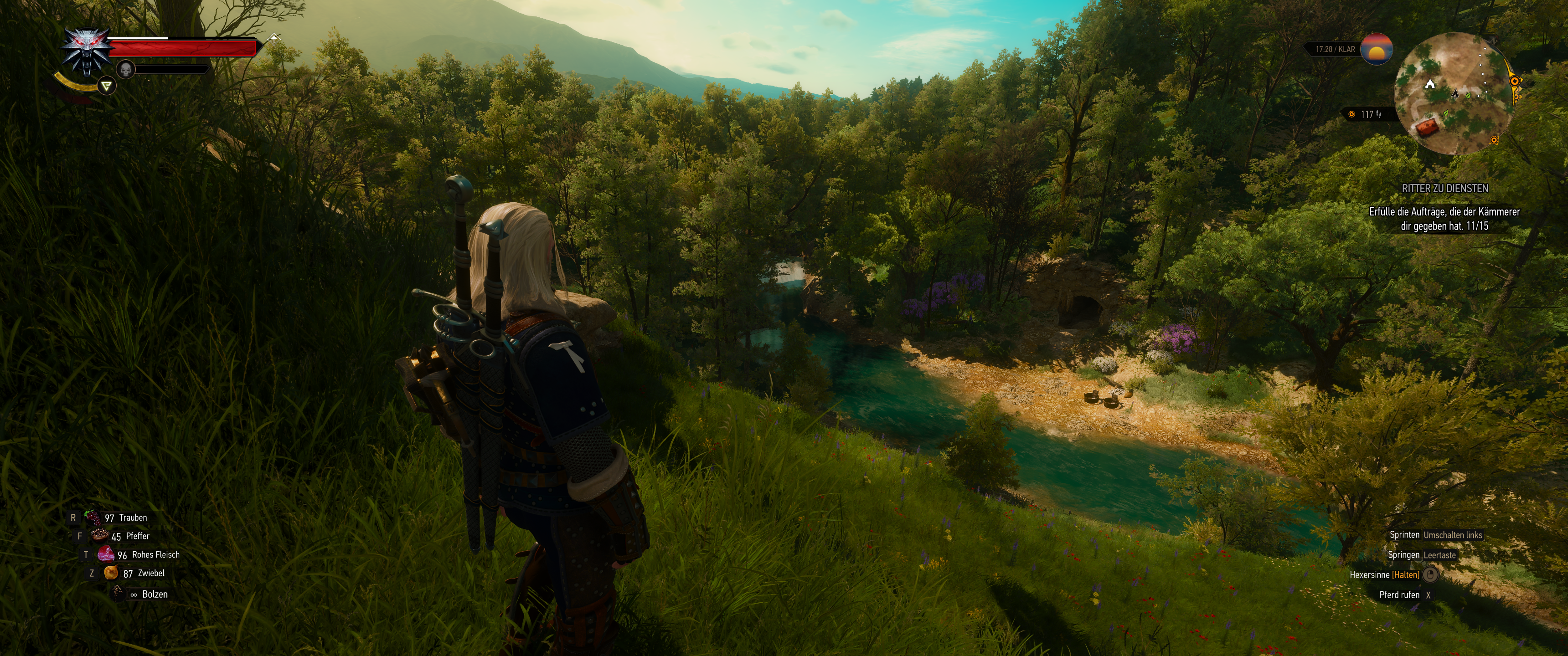 Witcher III (513).png