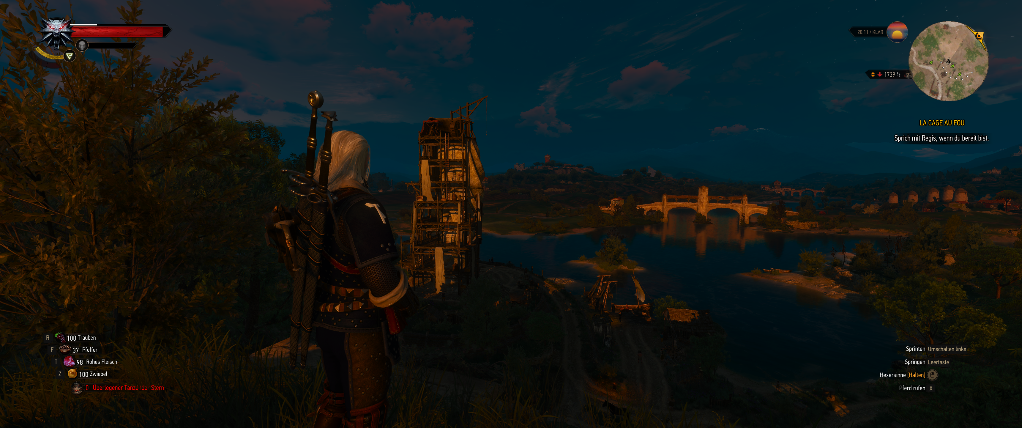 Witcher III (520).png