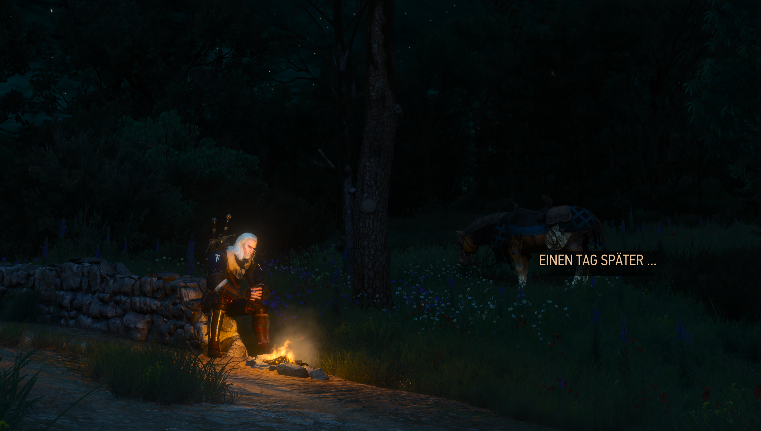 Witcher III (521).png