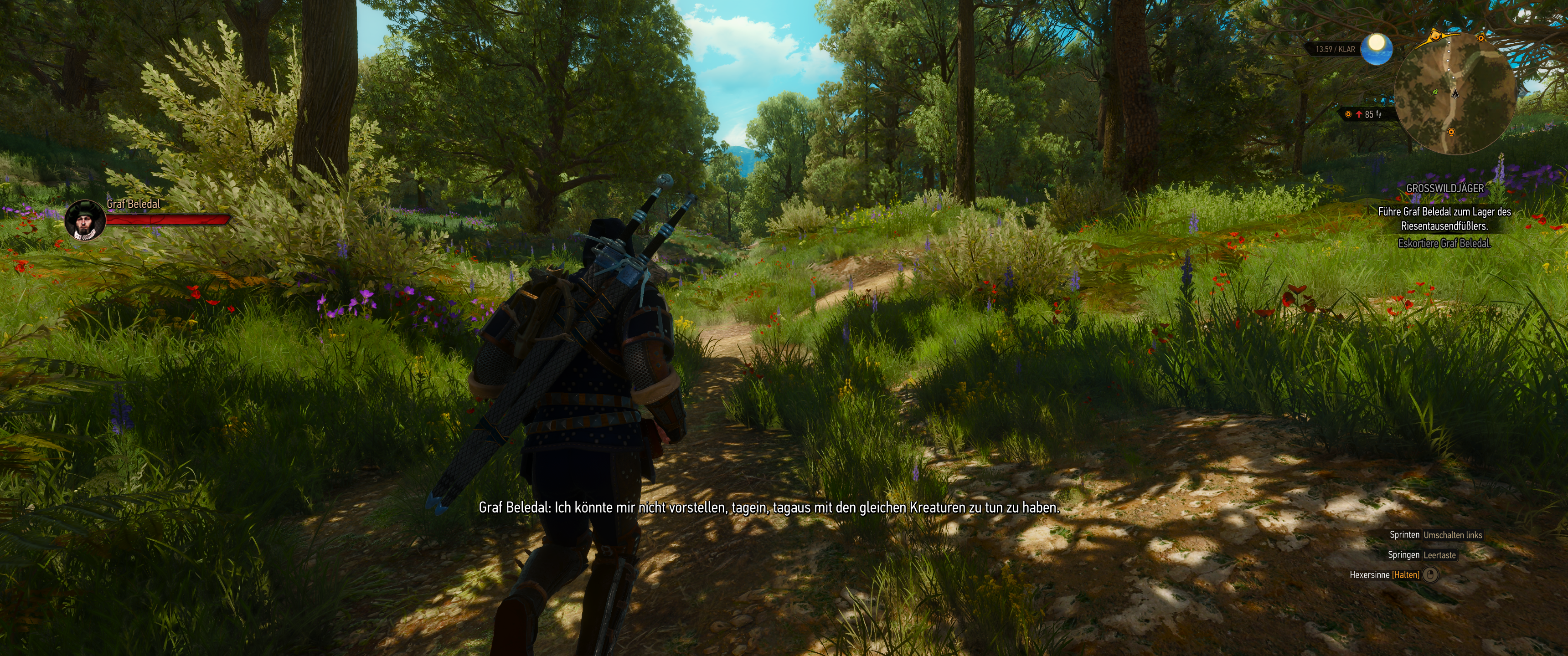 Witcher III (524).png