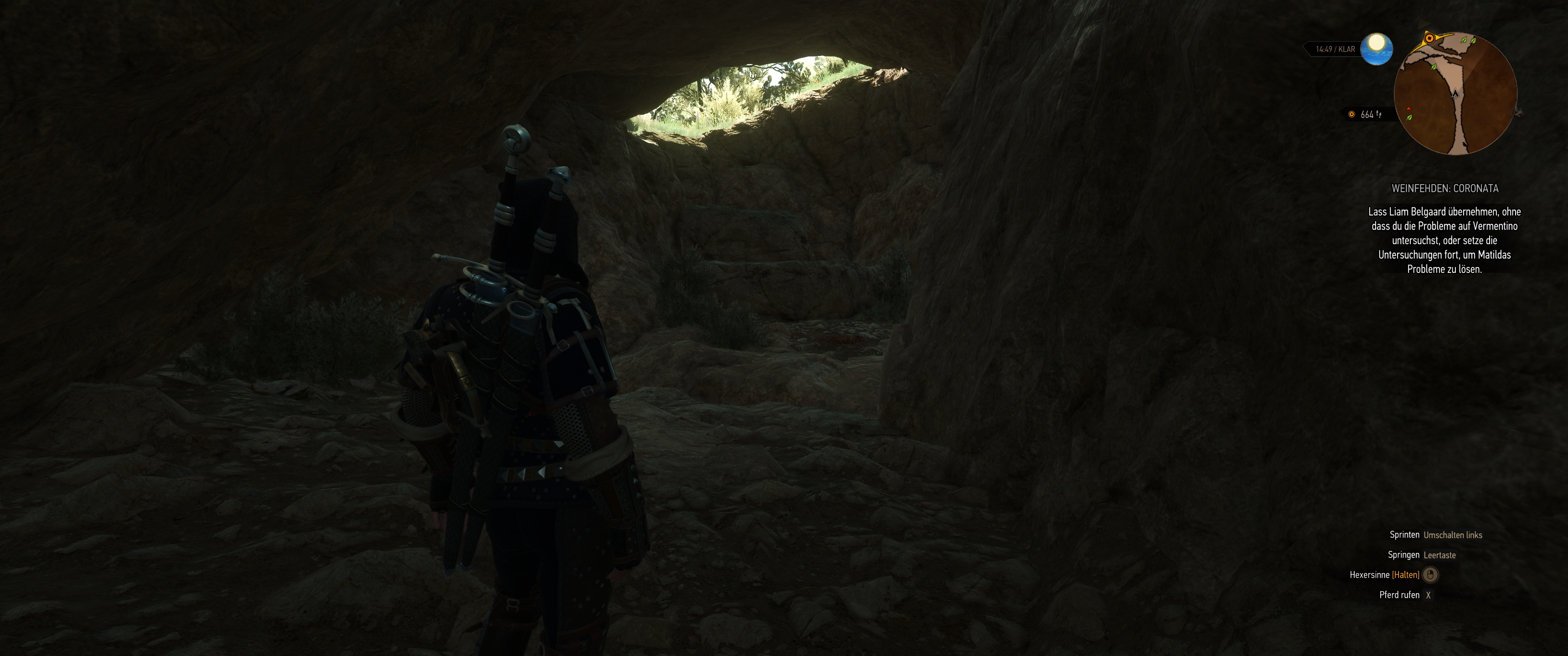 Witcher III (527).png