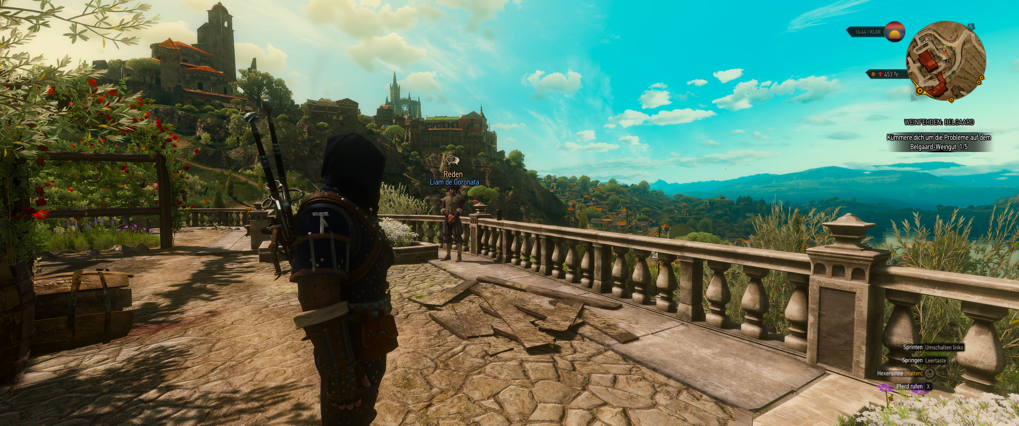 Witcher III (528).png