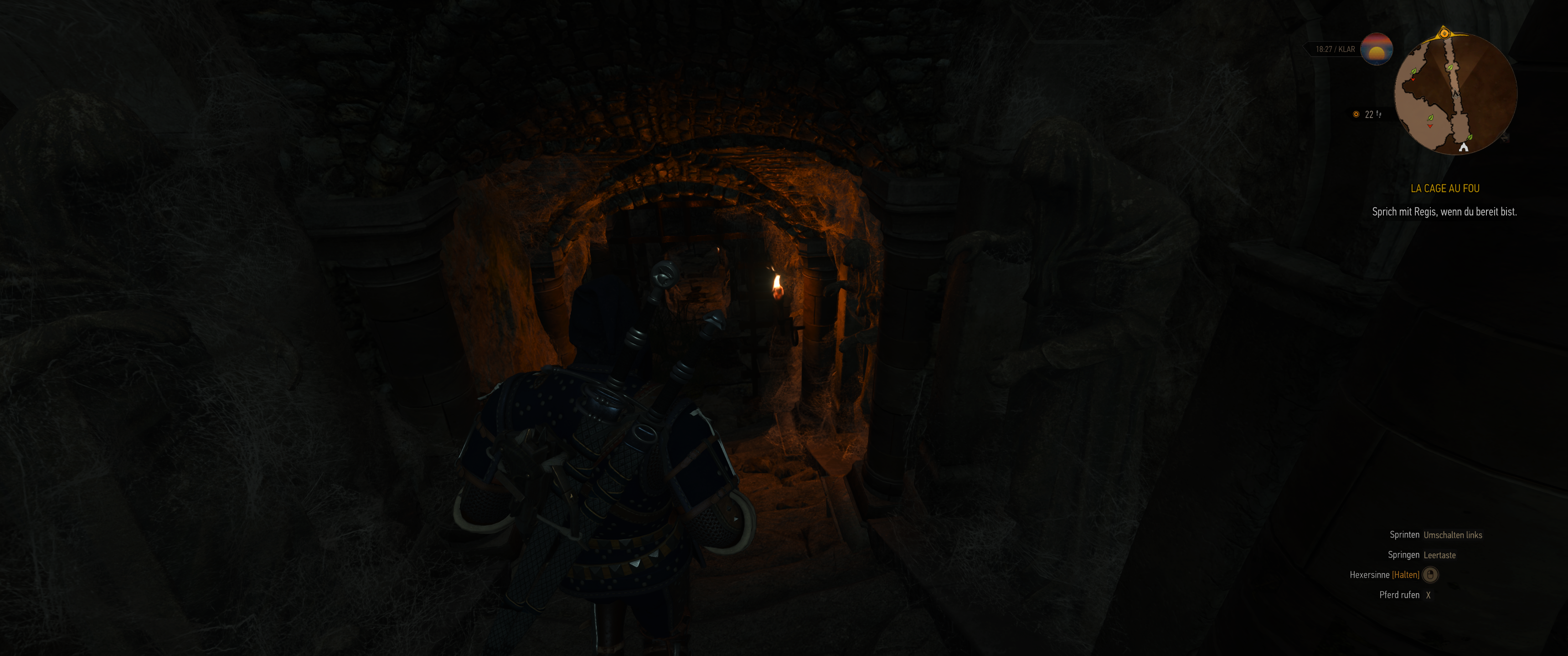 Witcher III (537).png