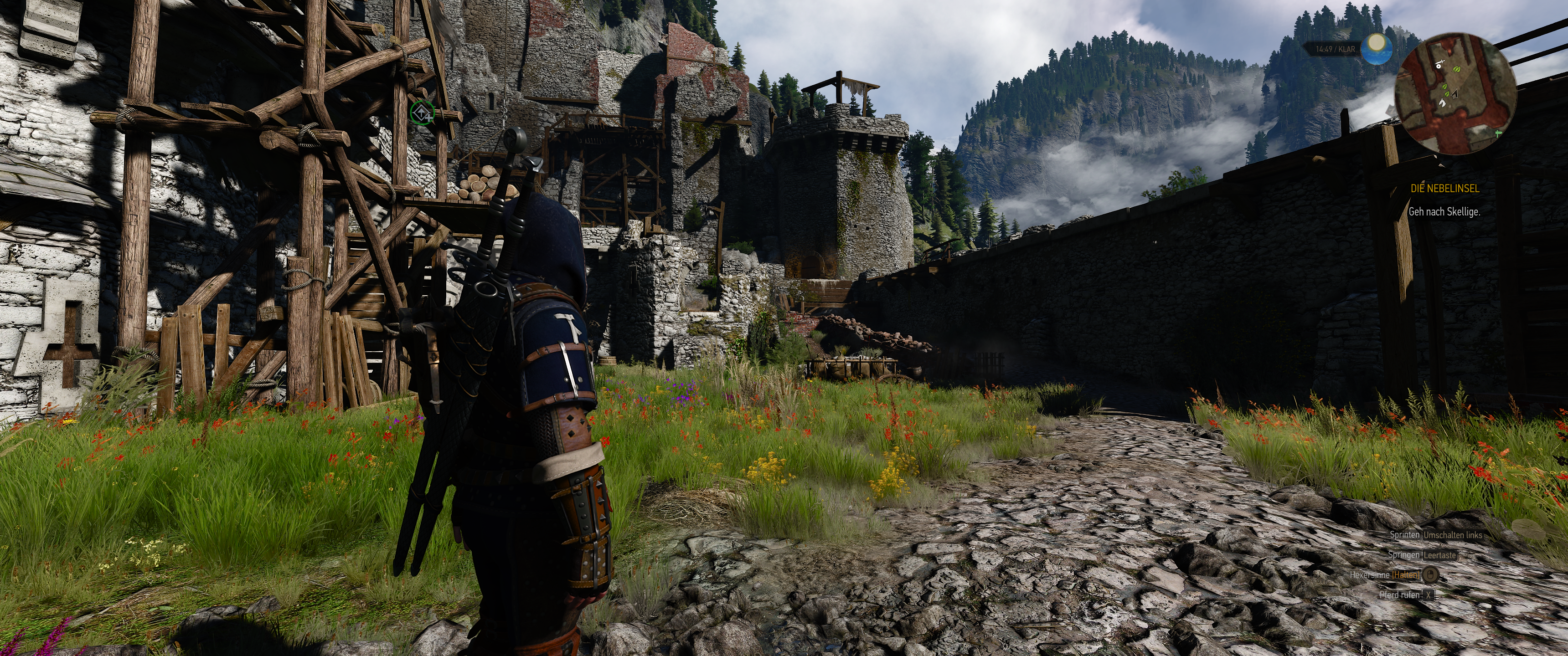 Witcher III (542).png