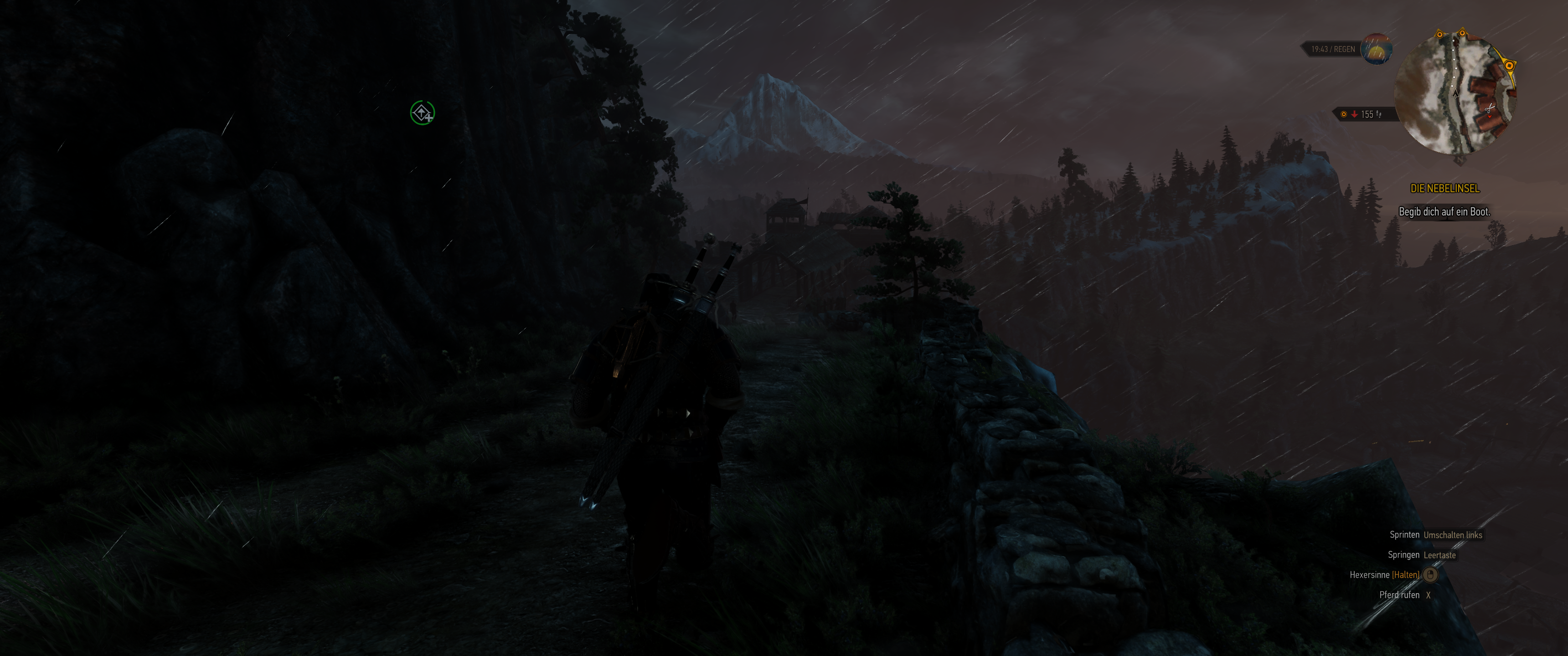 Witcher III (543).png