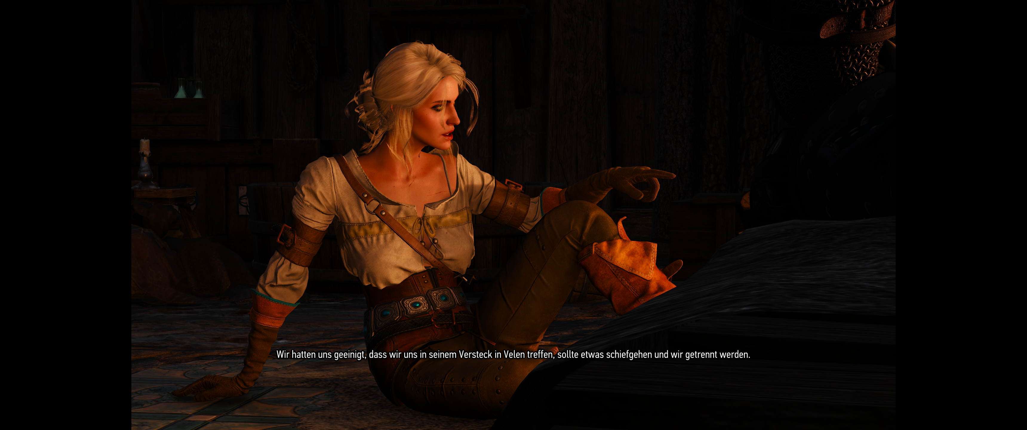 Witcher III (554).png