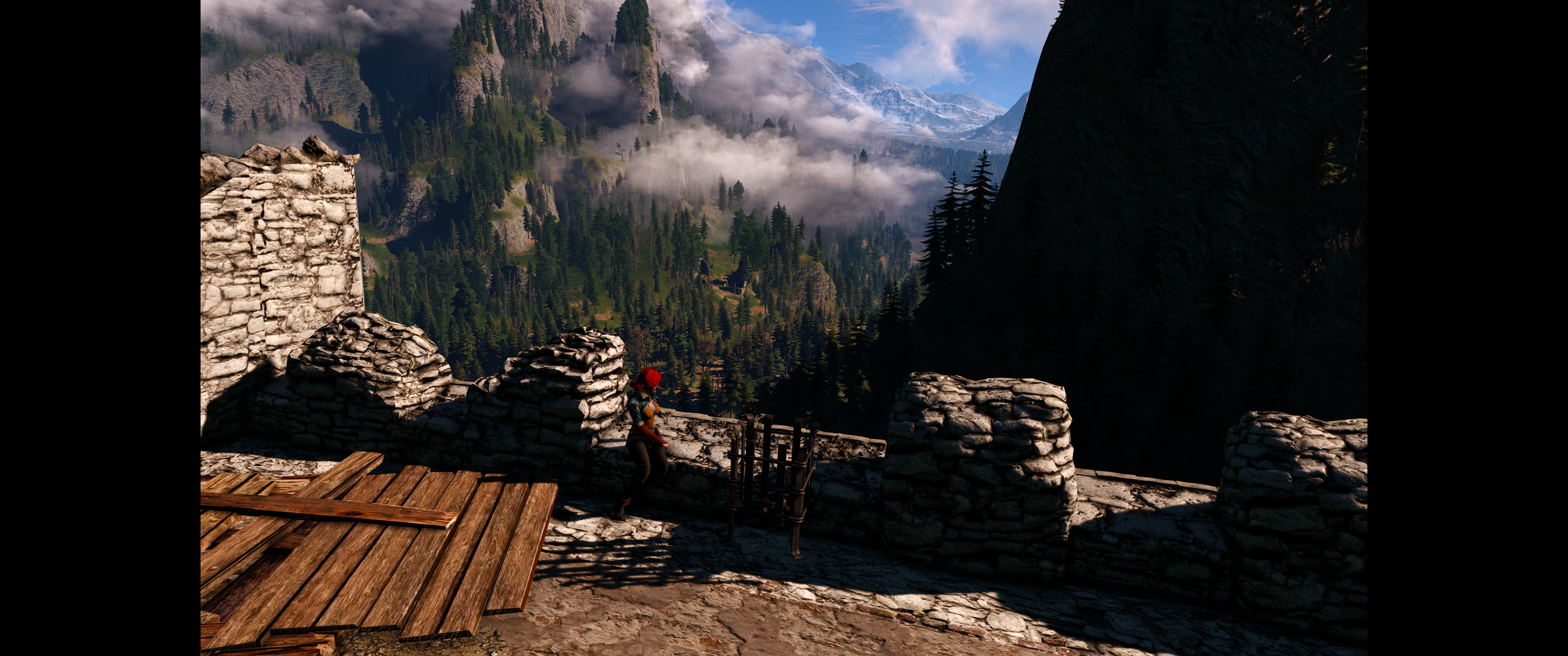 Witcher III (557).png