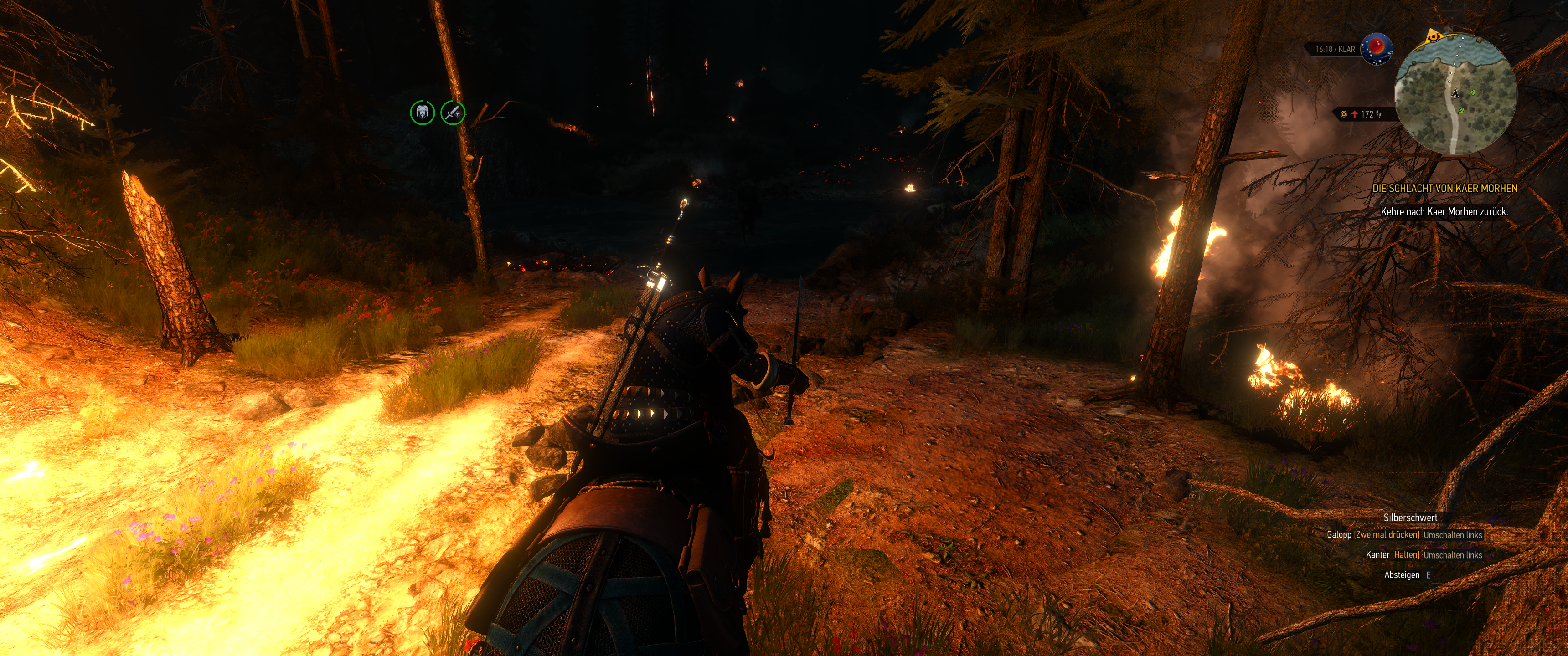 Witcher III (559).png