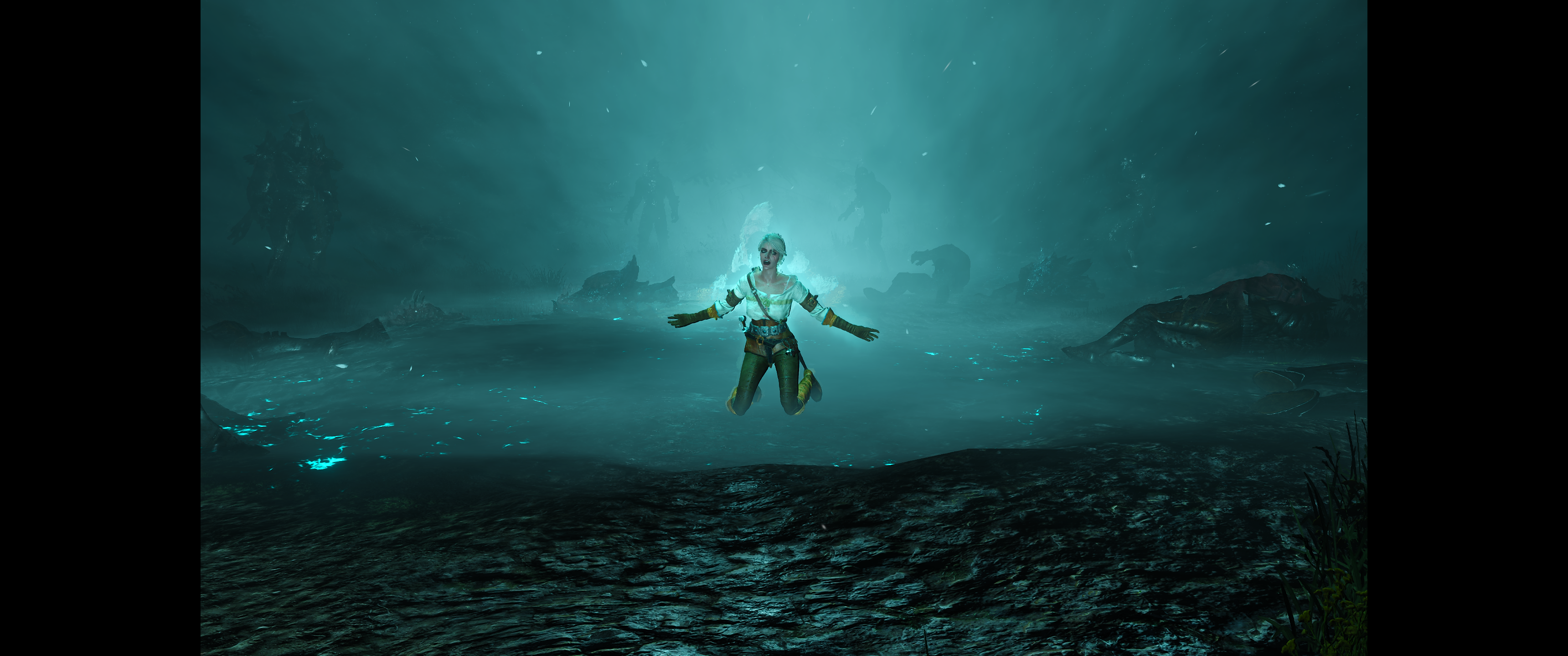 Witcher III (563).png