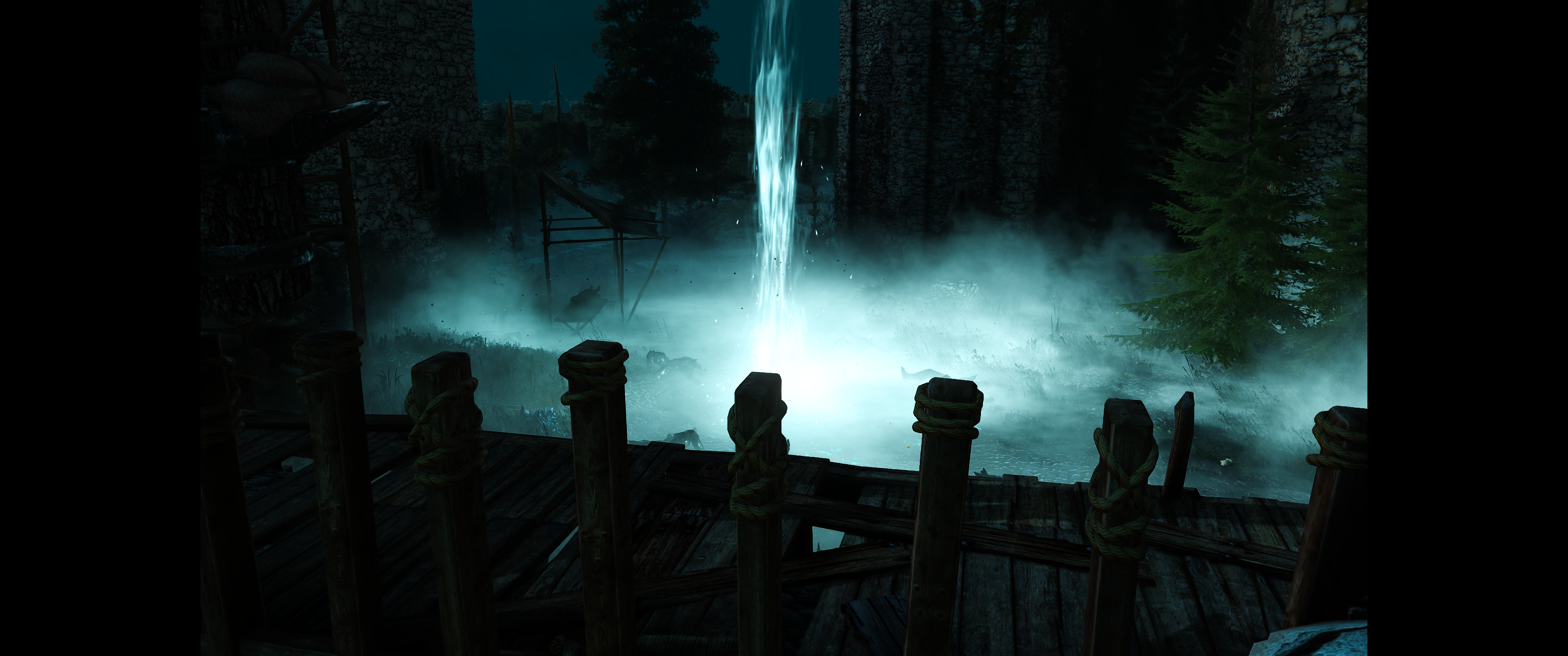 Witcher III (564).png